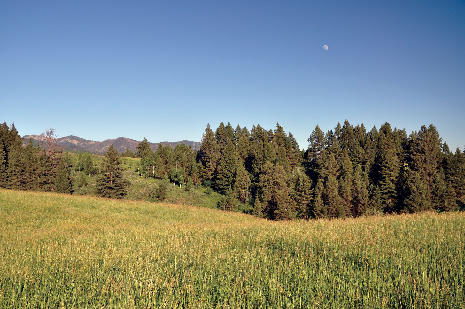 Hammer Ranch property picture 19 of 33