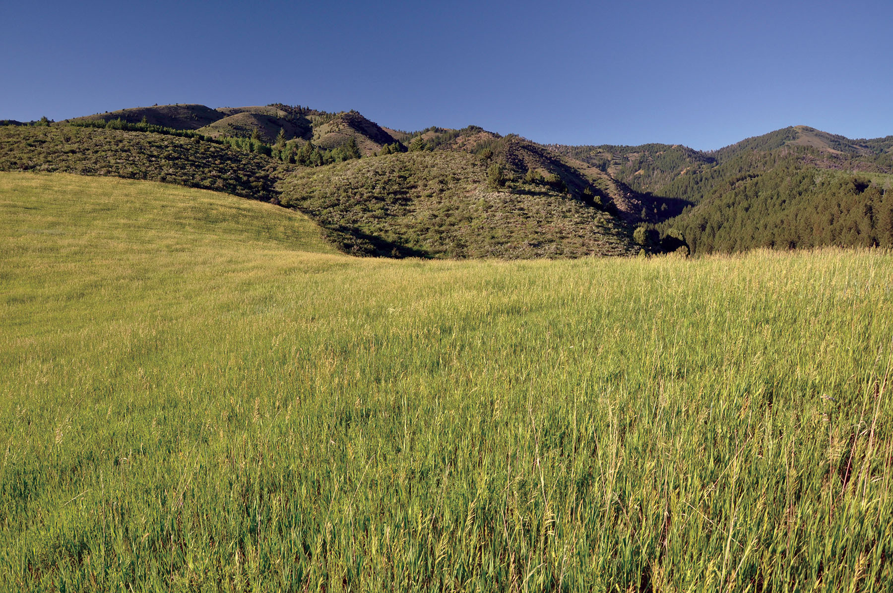 Hammer Ranch property picture 13 of 33