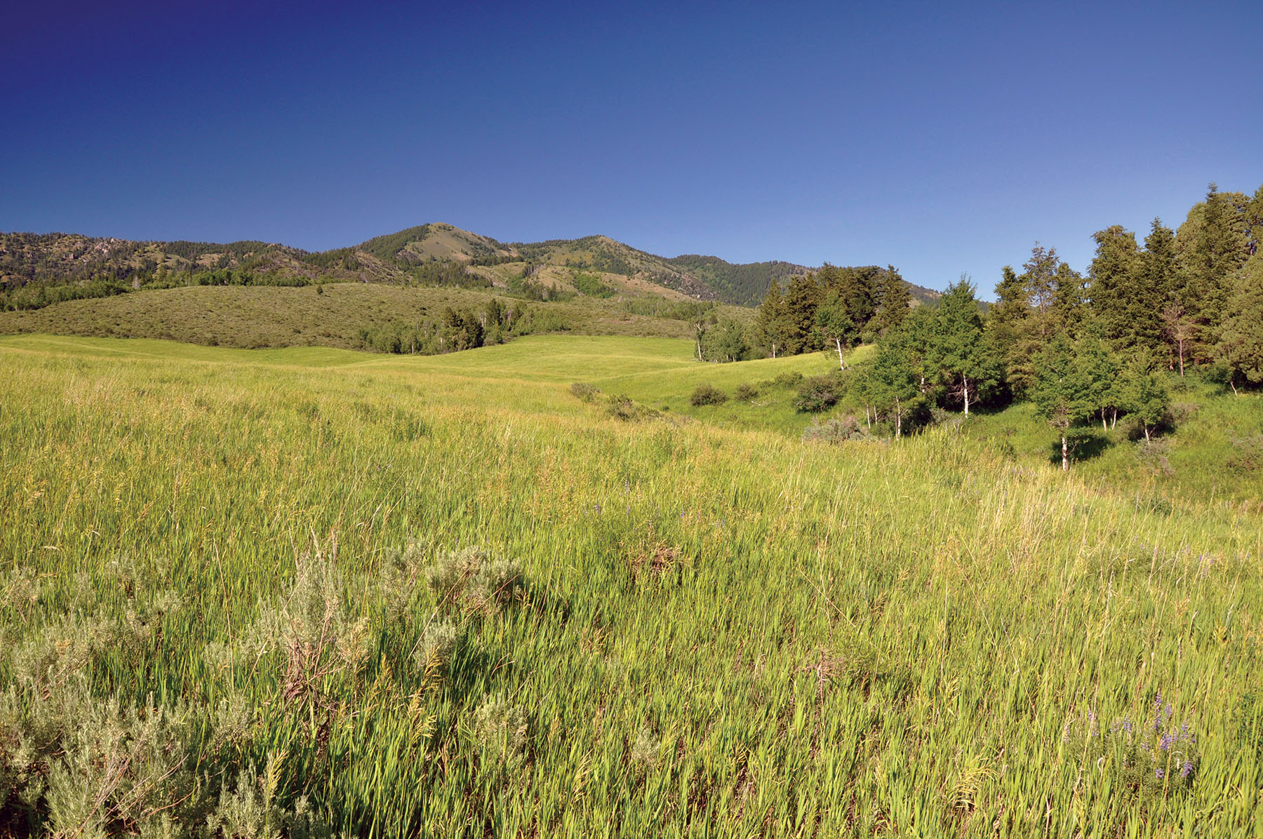 Hammer Ranch property picture 32 of 33