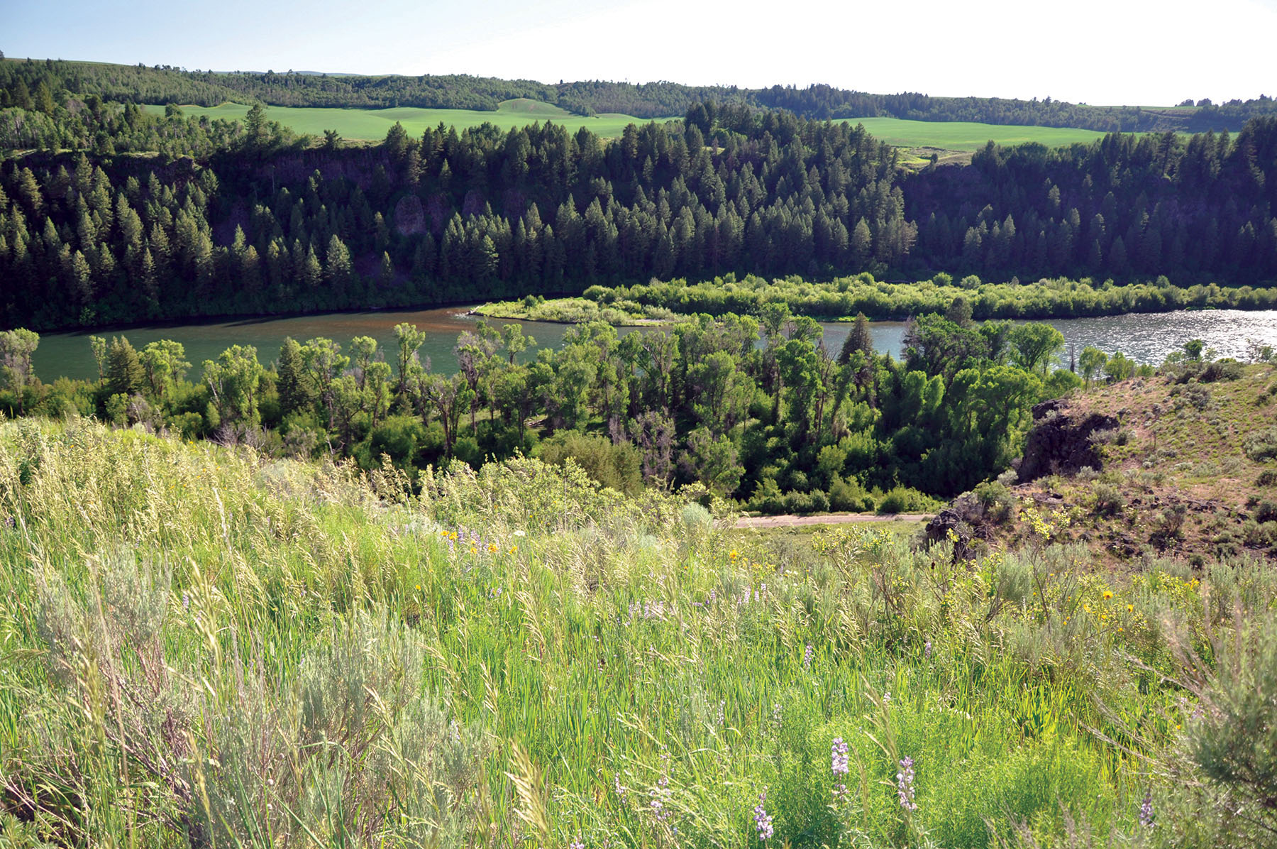 Hammer Ranch property picture 17 of 33