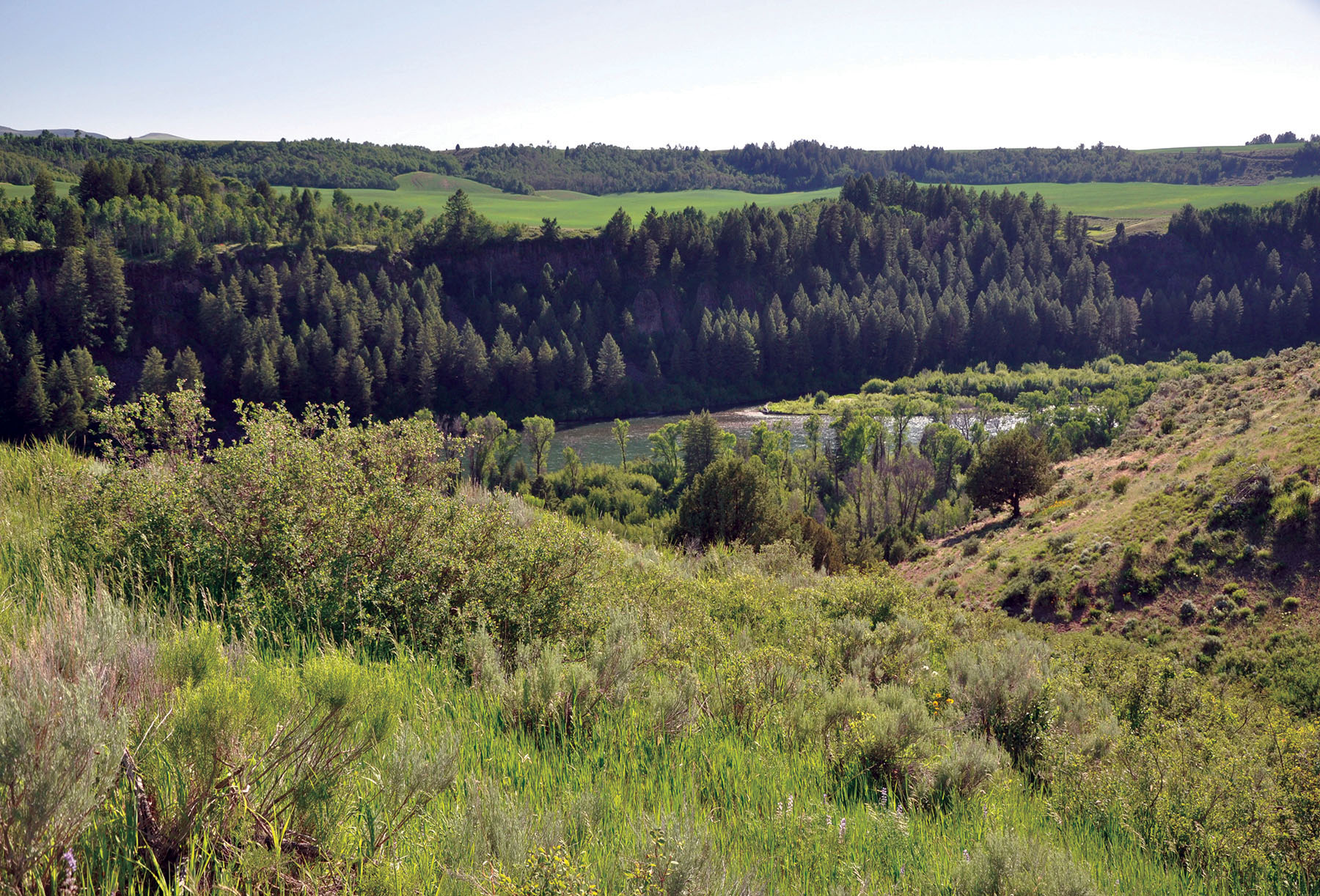 Hammer Ranch property picture 20 of 33