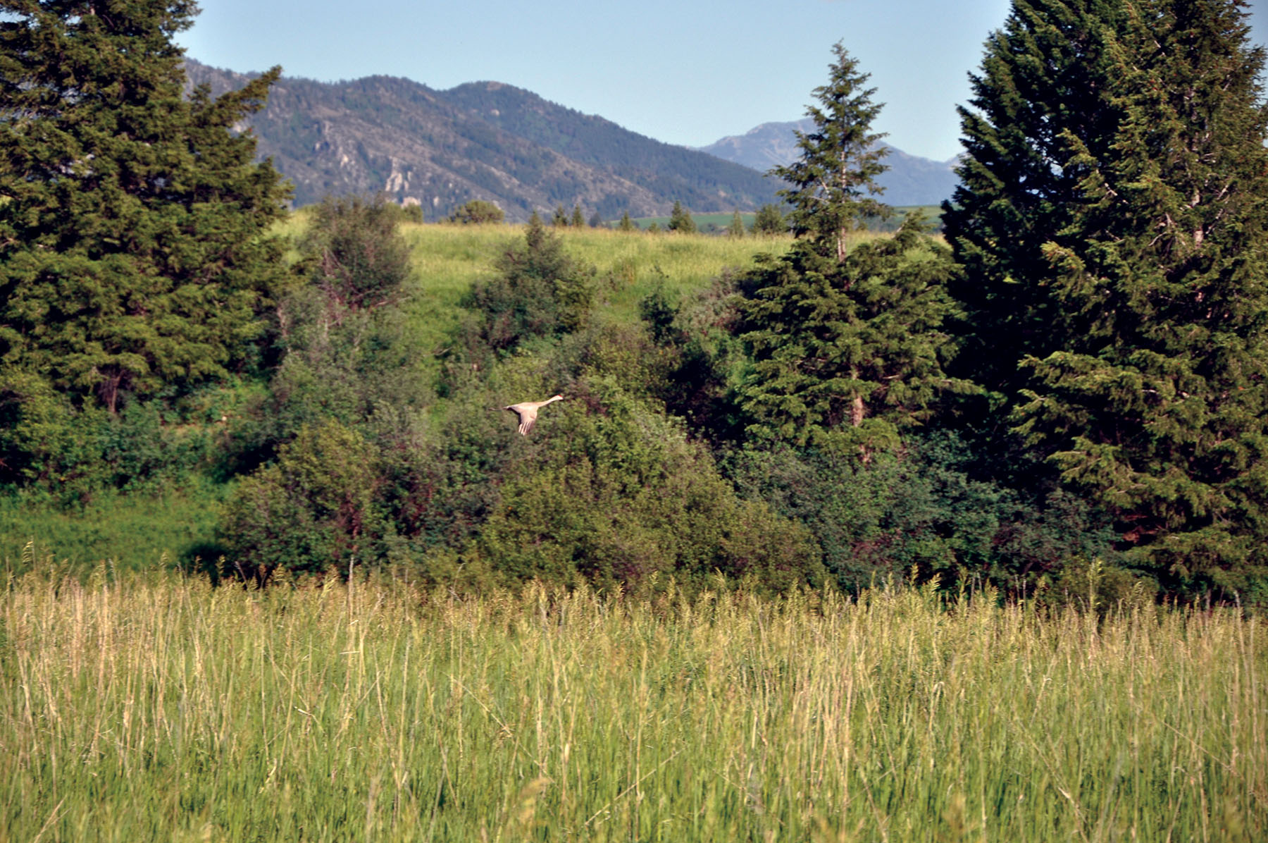 Hammer Ranch property picture 25 of 33