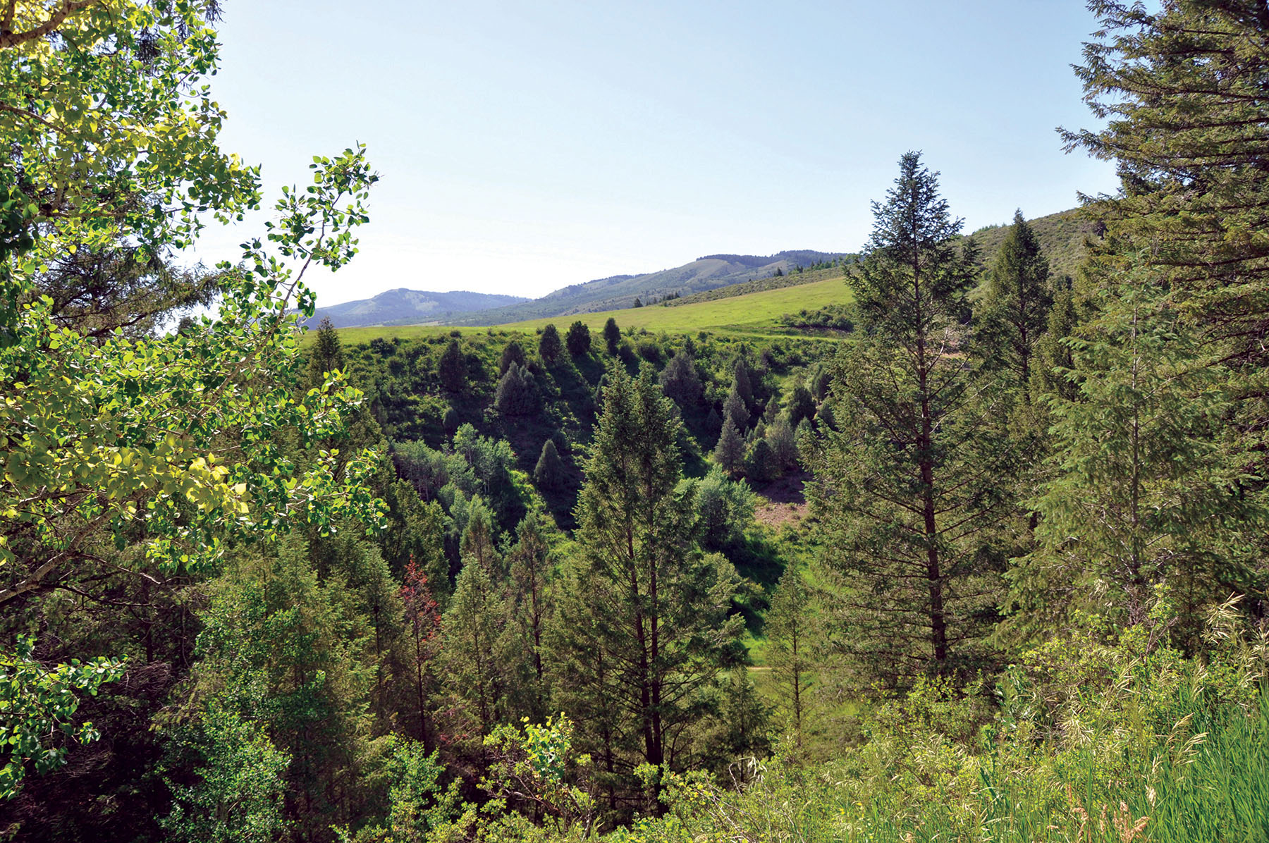 Hammer Ranch property picture 11 of 33