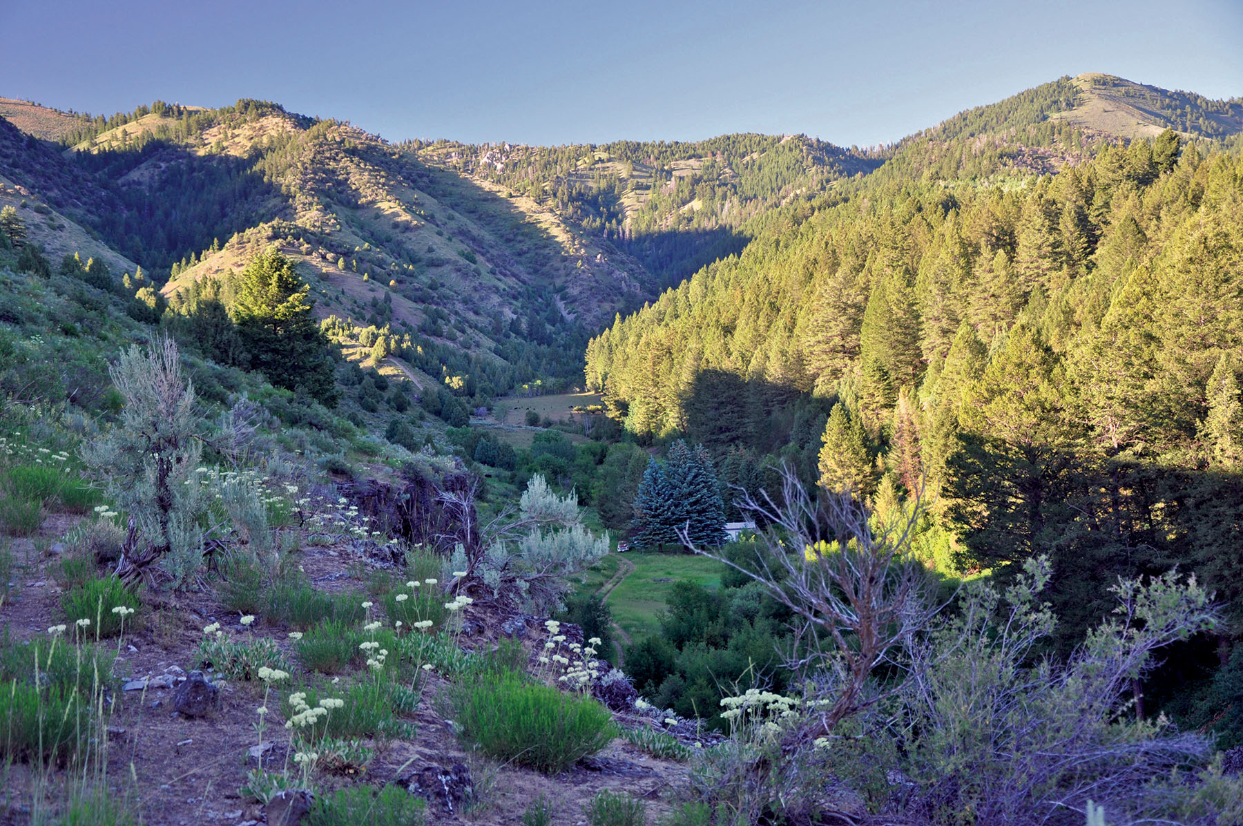 Hammer Ranch property picture 8 of 33