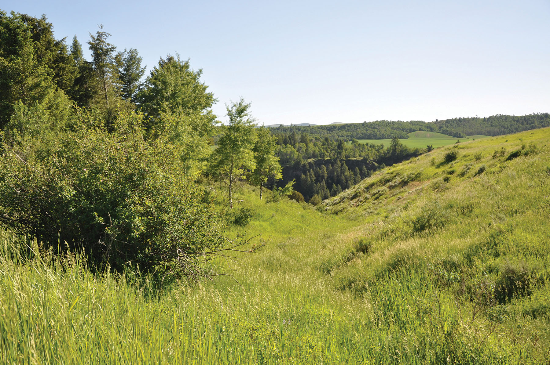 Hammer Ranch property picture 30 of 33