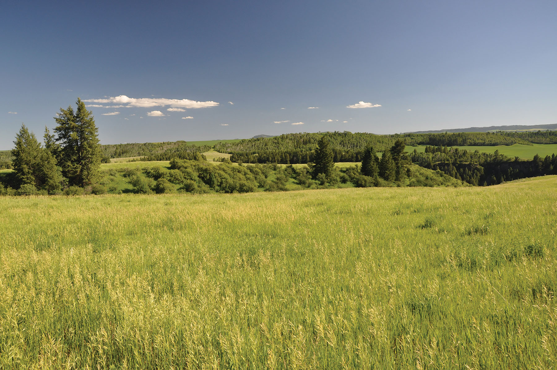 Hammer Ranch property picture 29 of 33