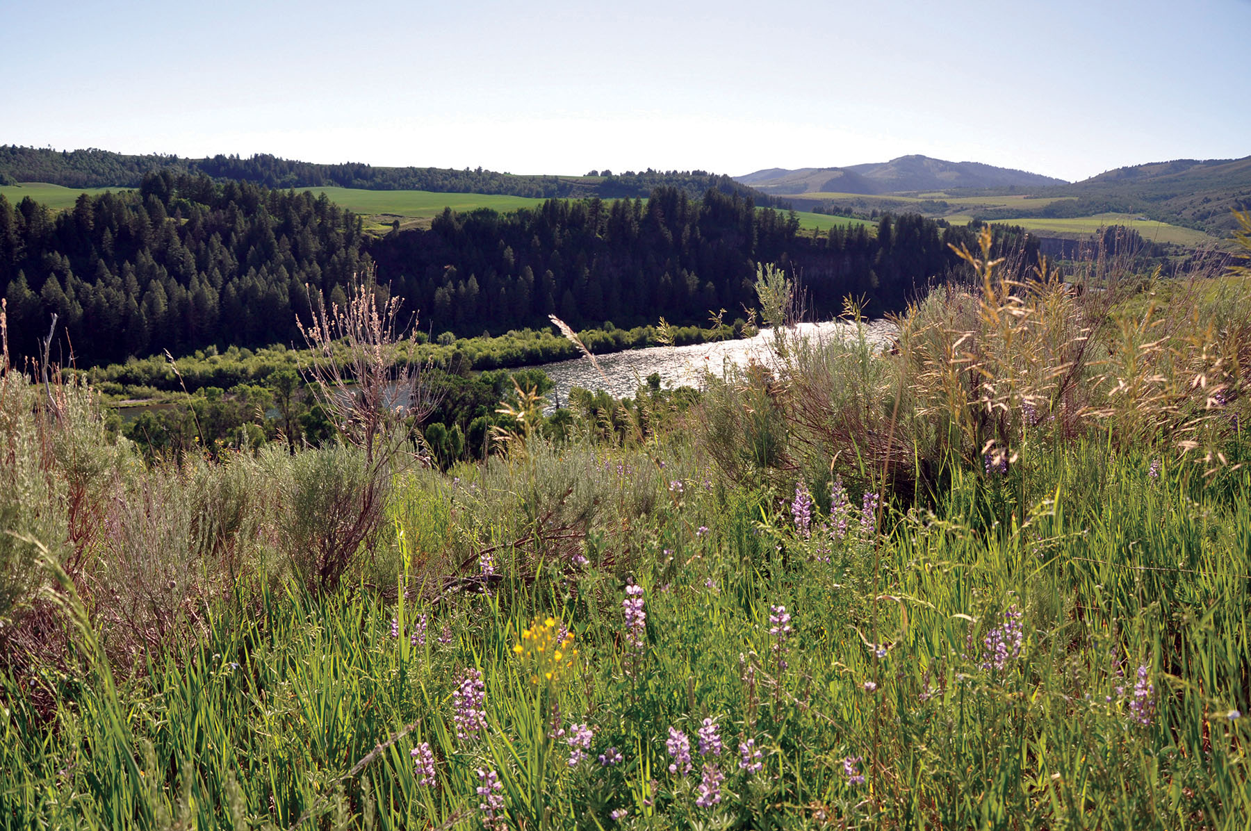 Hammer Ranch property picture 4 of 33