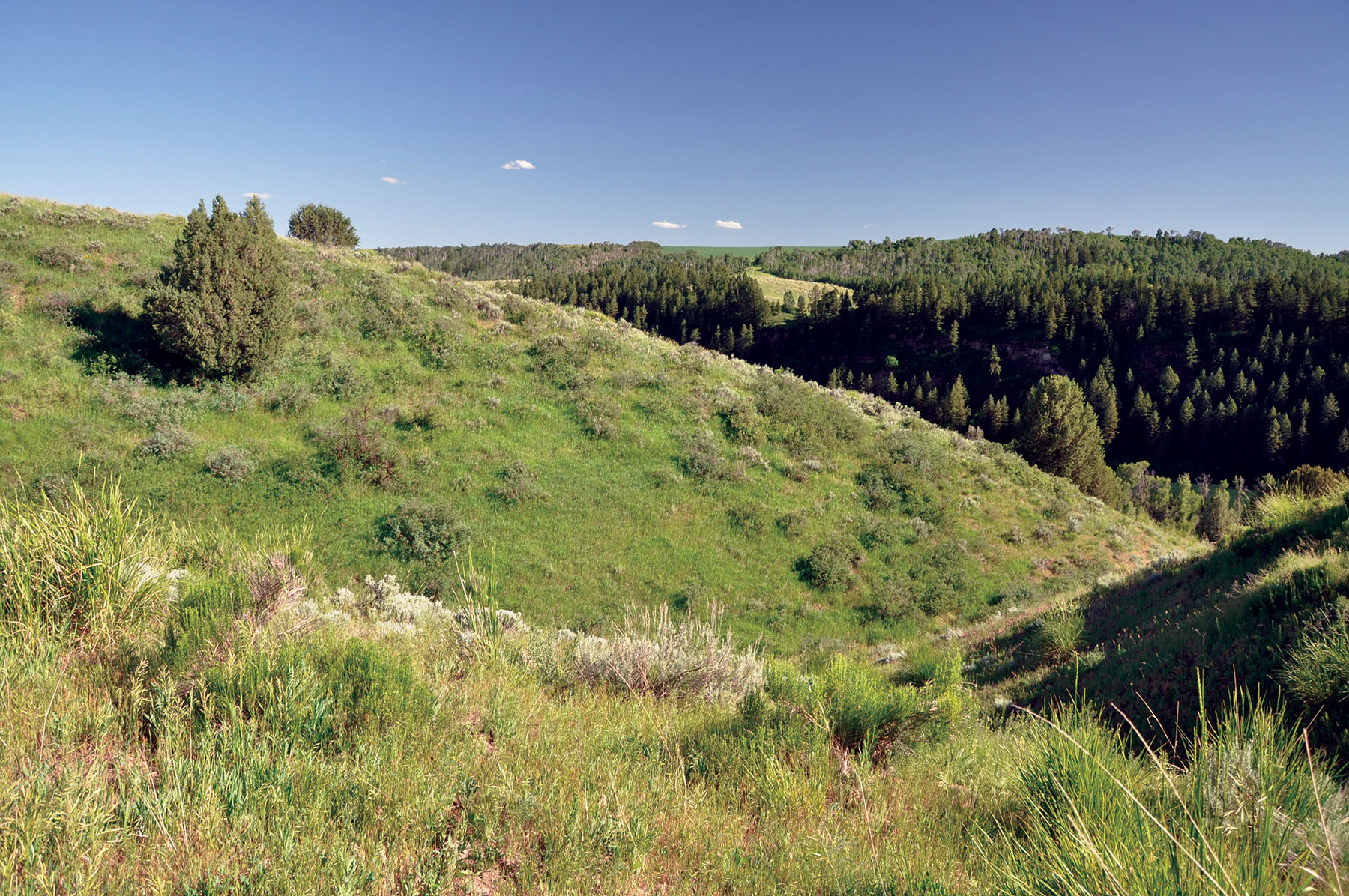 Hammer Ranch property picture 31 of 33