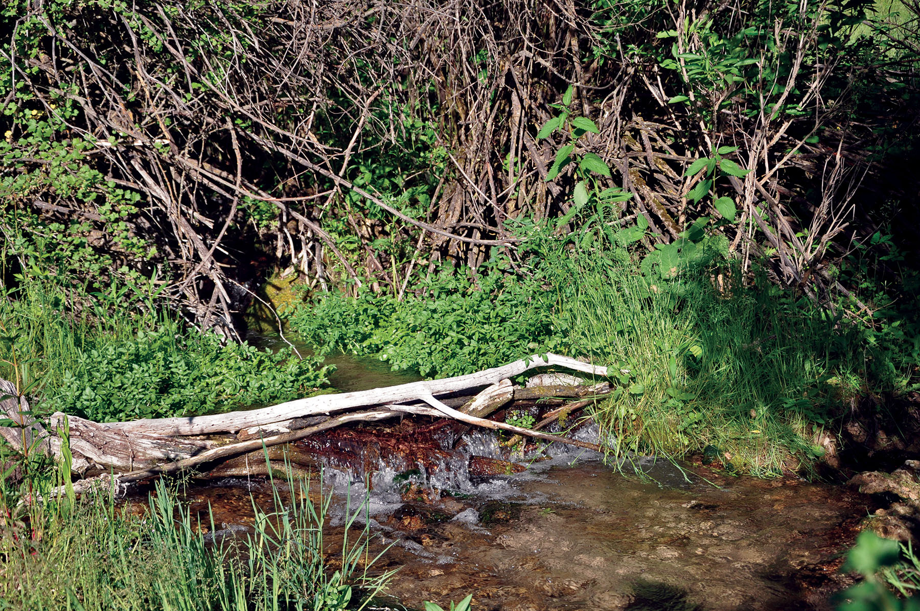 Hammer Ranch property picture 23 of 33