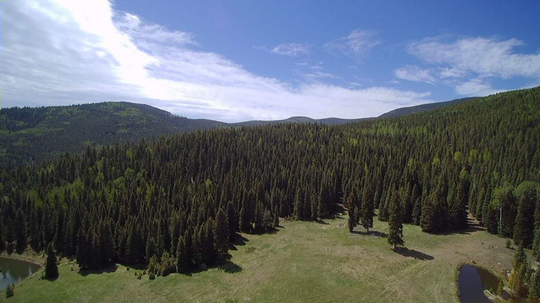 Bristlecone Ranch property picture 6 of 7