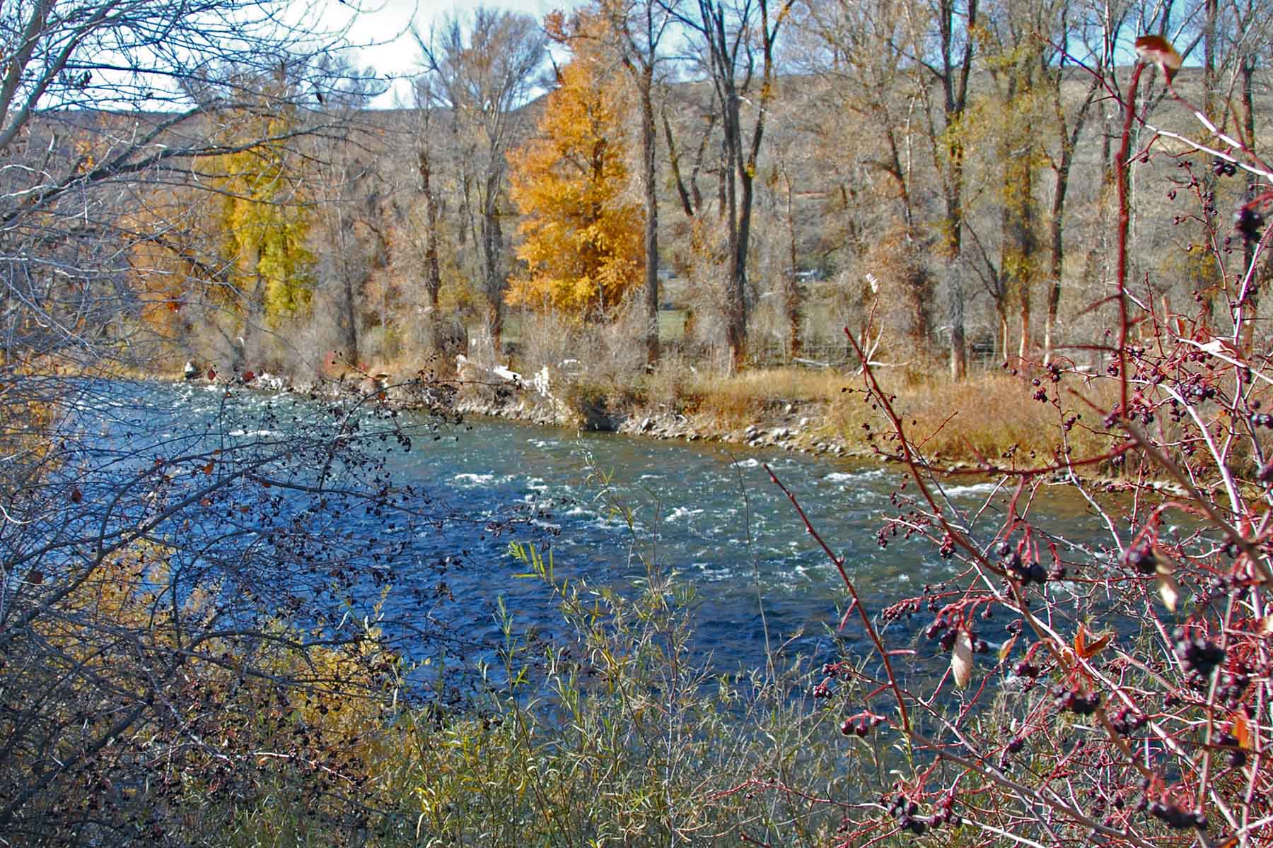 White River Retreat property picture 9 of 12