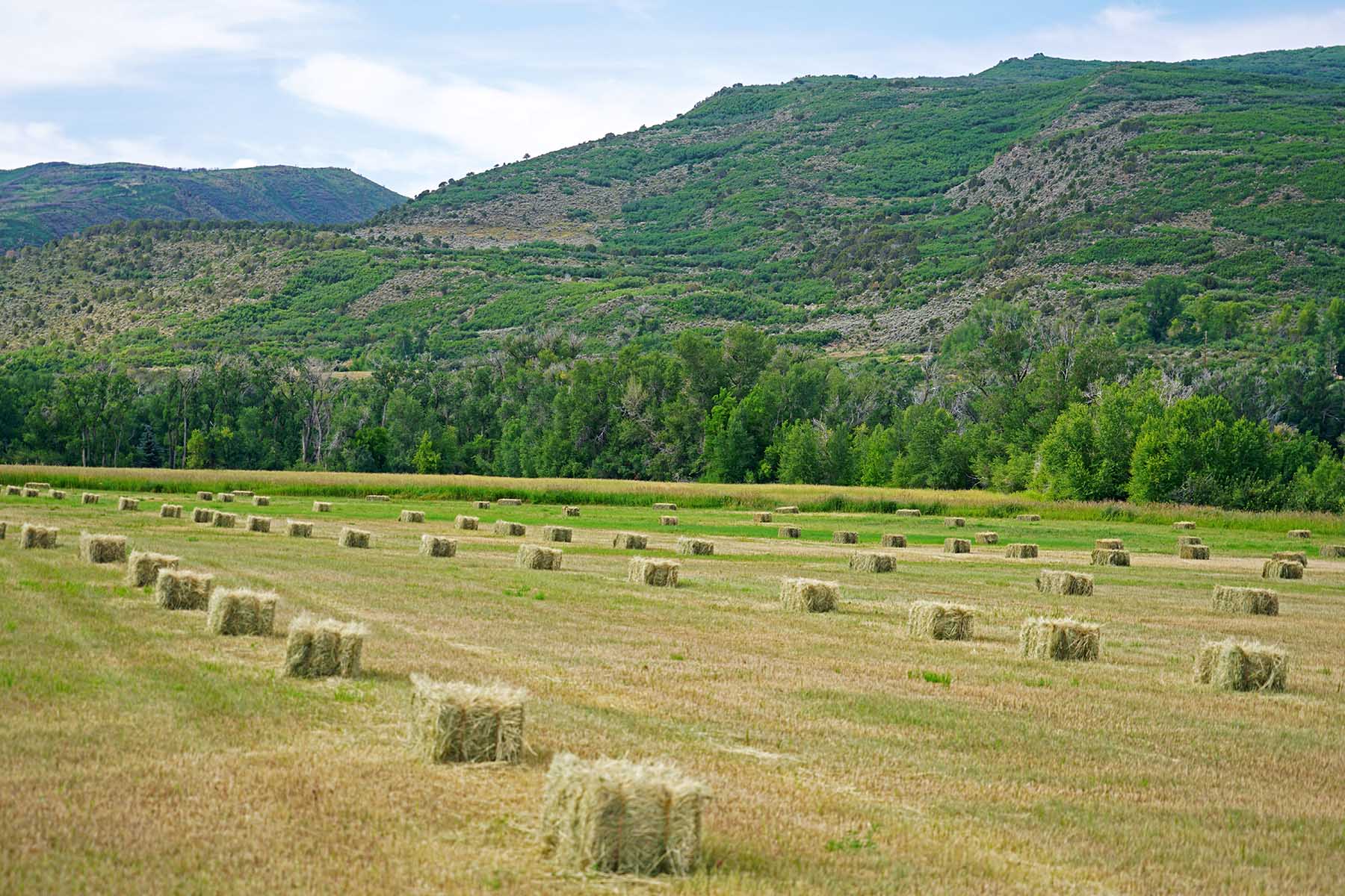White River Retreat property picture 8 of 12