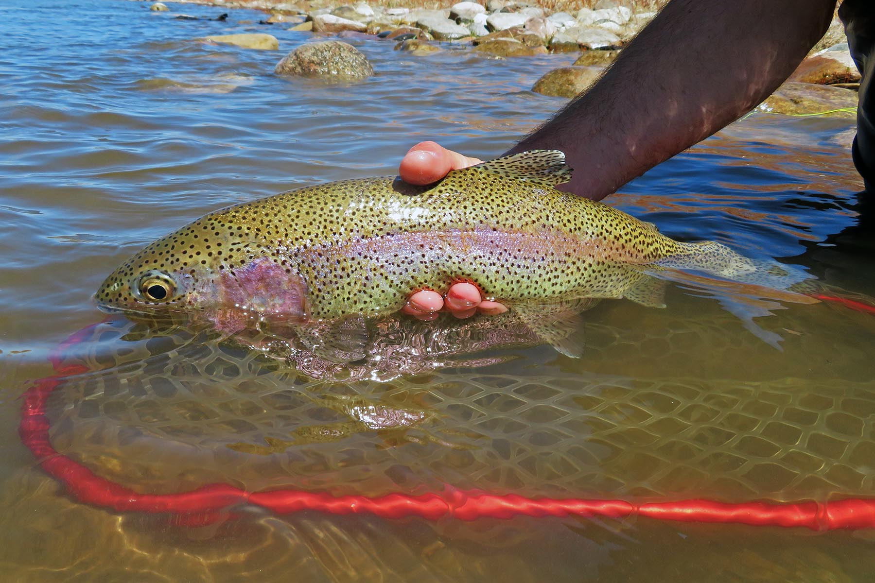 White River Retreat property picture 11 of 12