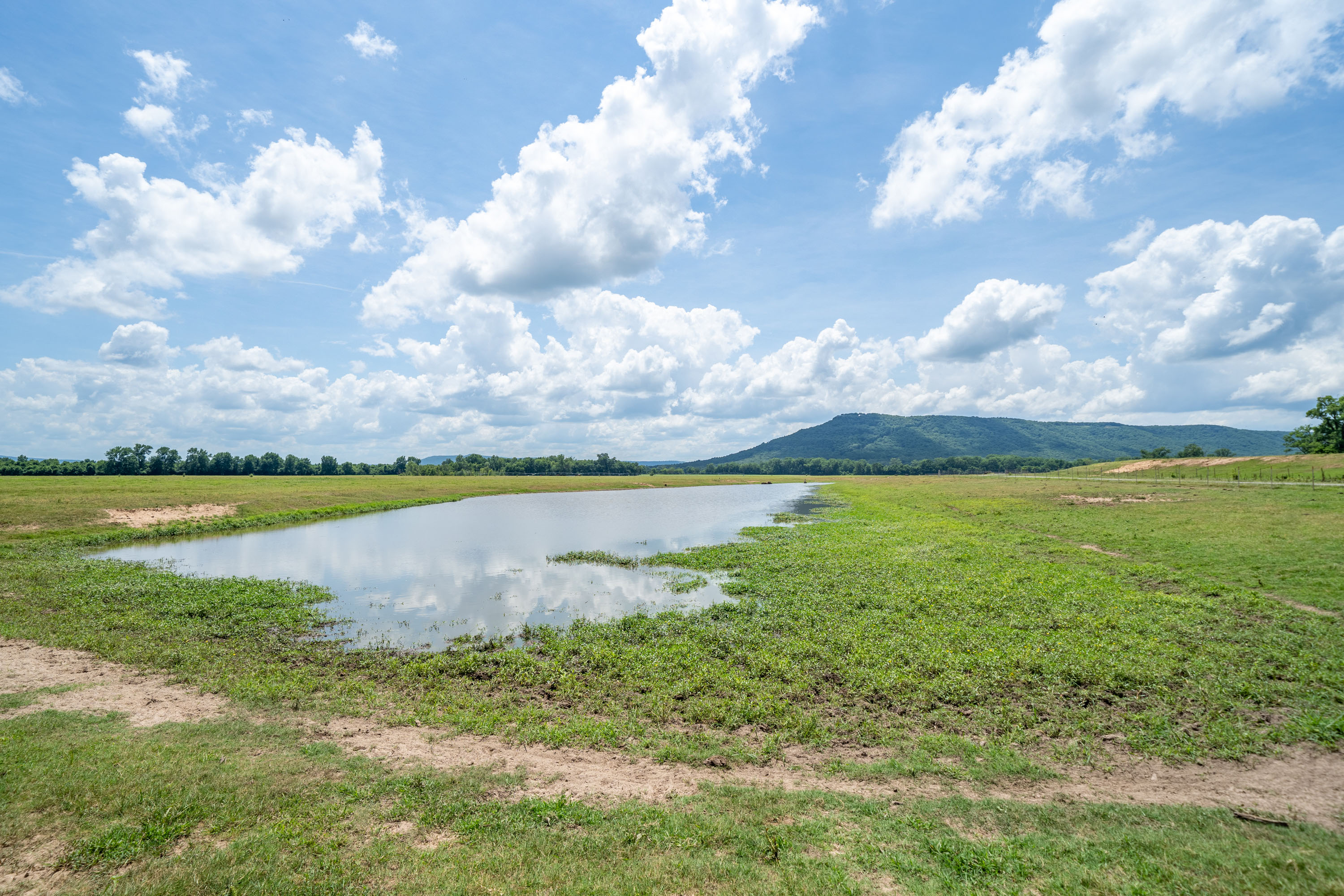 Willow Bend Ranch property picture 4 of 39