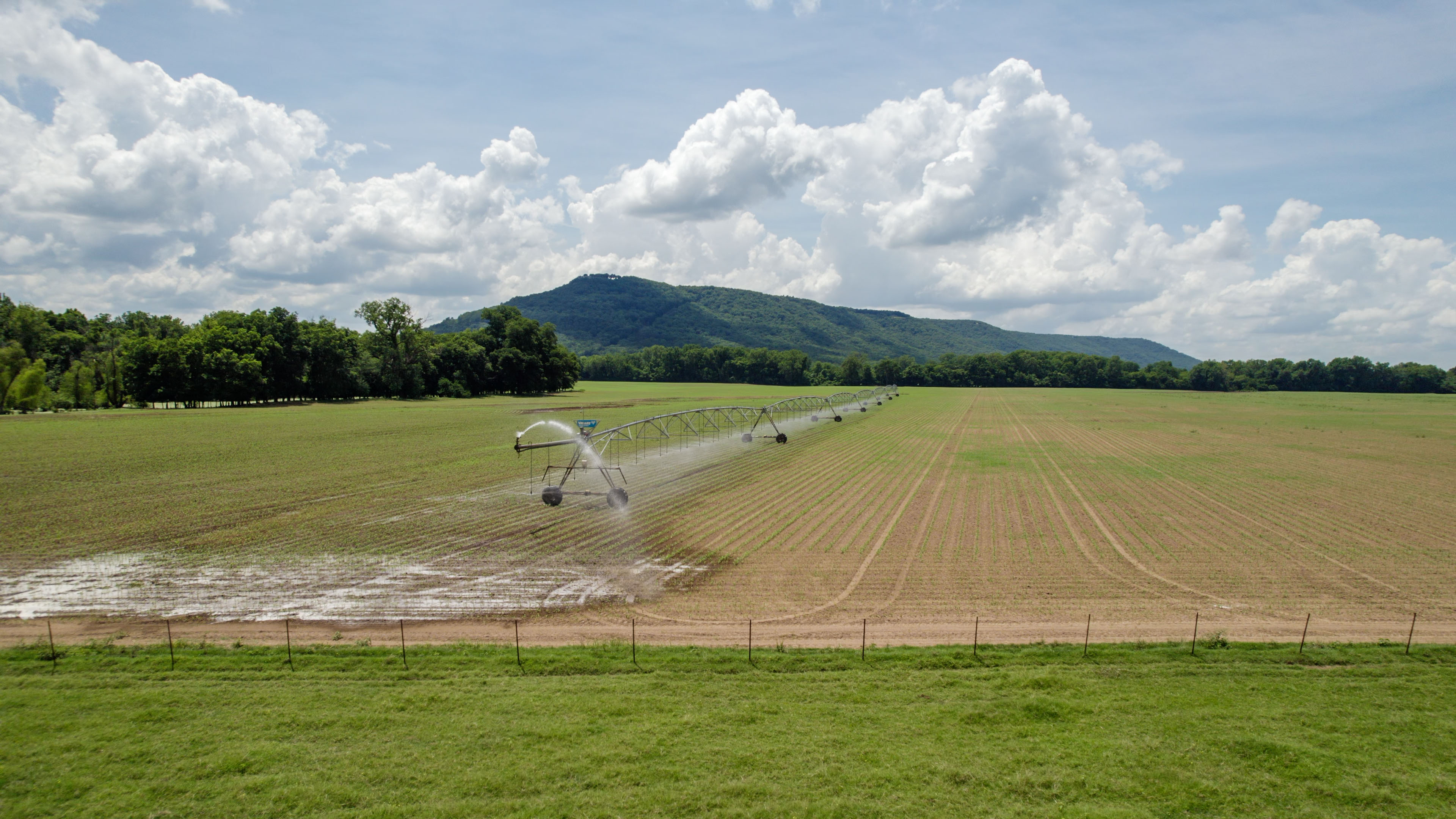Willow Bend Ranch property picture 2 of 39