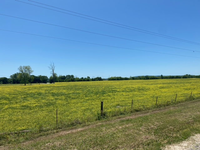 Willow Bend Ranch property picture 31 of 39