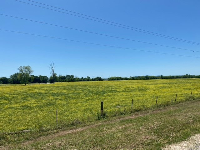 Willow Bend Ranch property picture 37 of 39