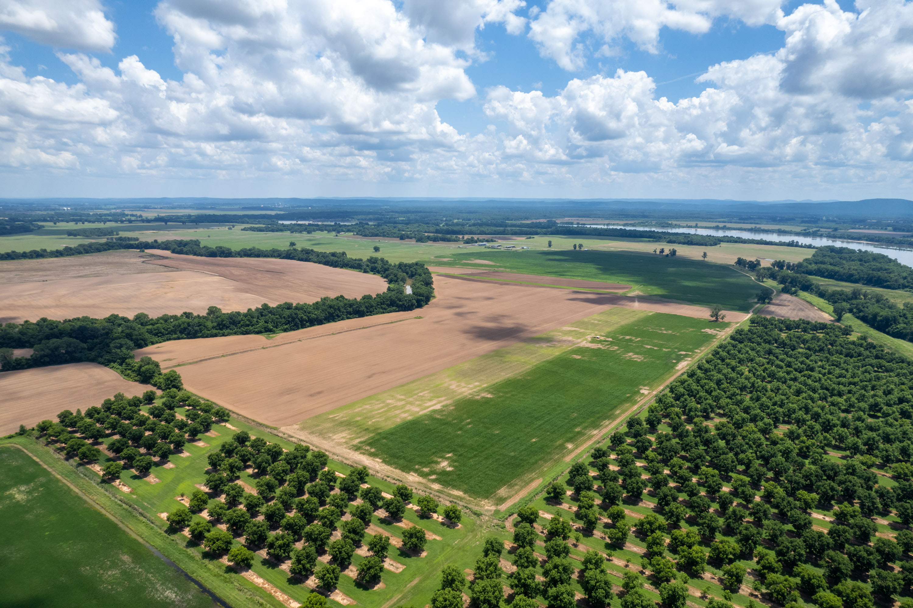 Willow Bend Ranch property picture 8 of 39