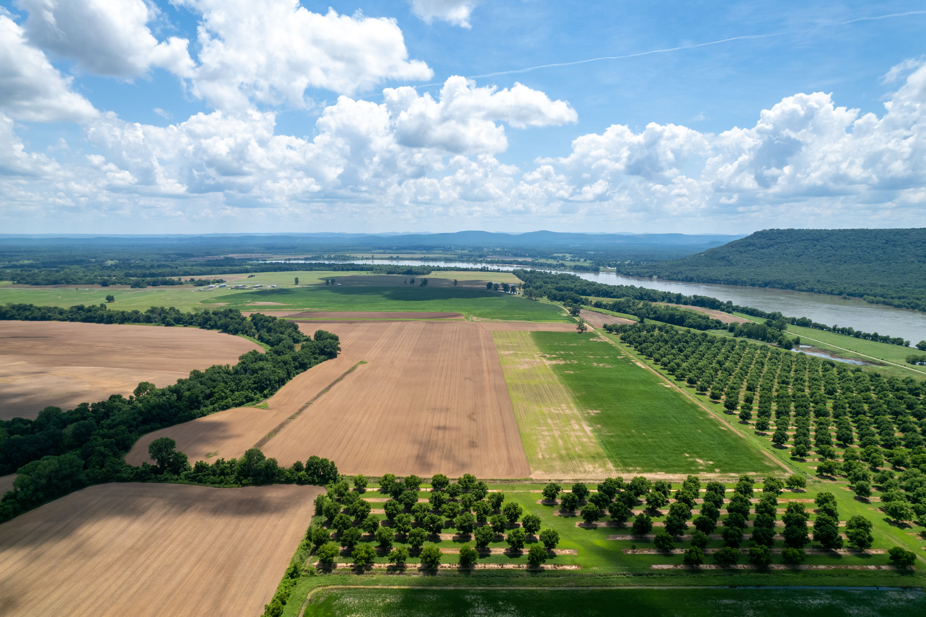 Willow Bend Ranch property picture 7 of 39