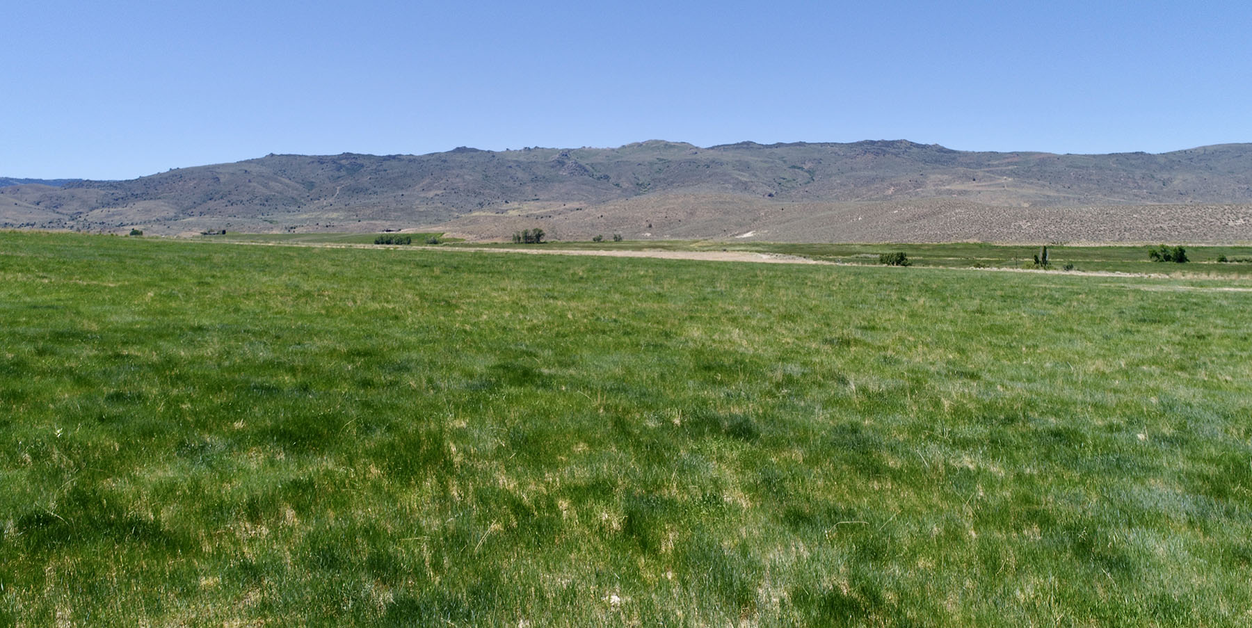 Reynolds Creek Land Company property picture 16 of 52