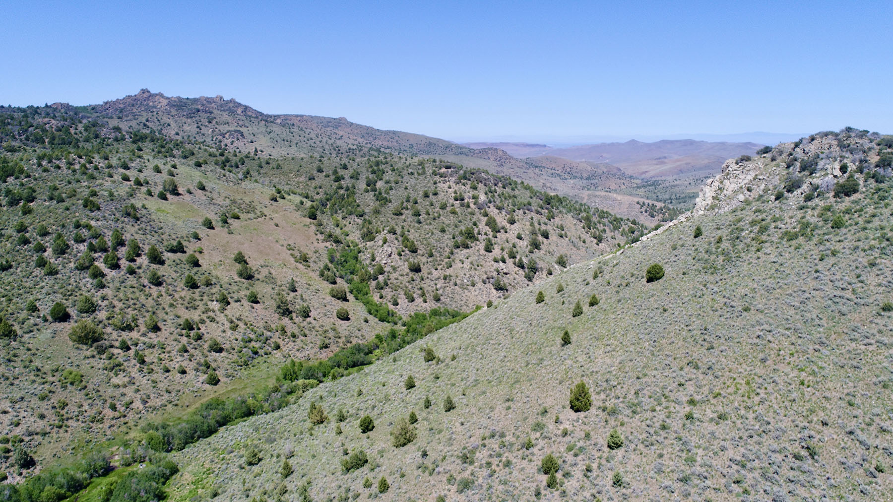 Reynolds Creek Land Company property picture 35 of 52