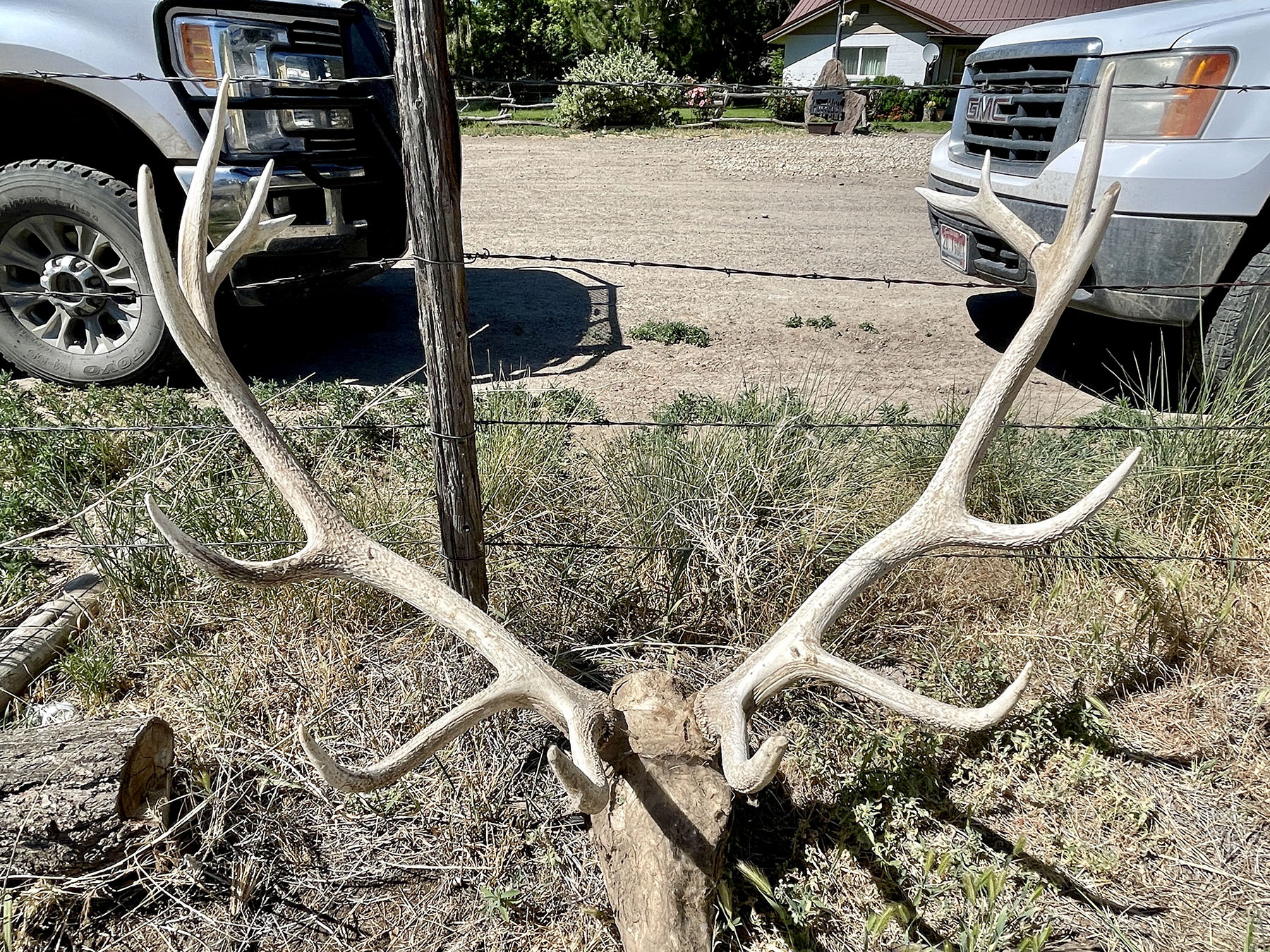 Reynolds Creek Land Company property picture 44 of 52