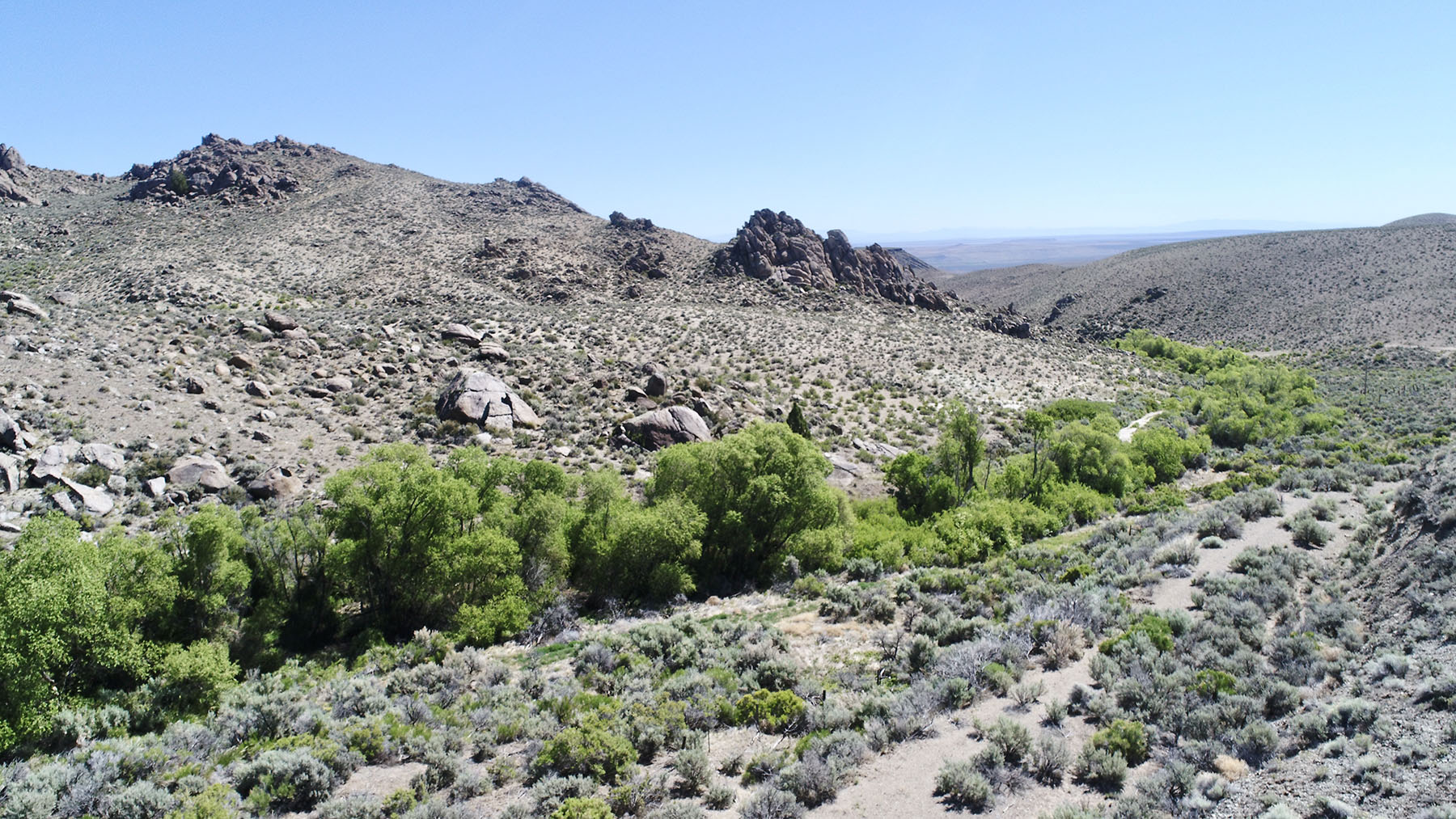 Reynolds Creek Land Company property picture 47 of 52