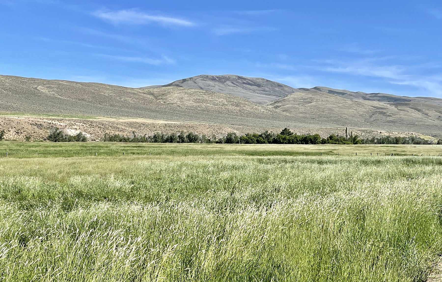 Reynolds Creek Land Company property picture 51 of 52