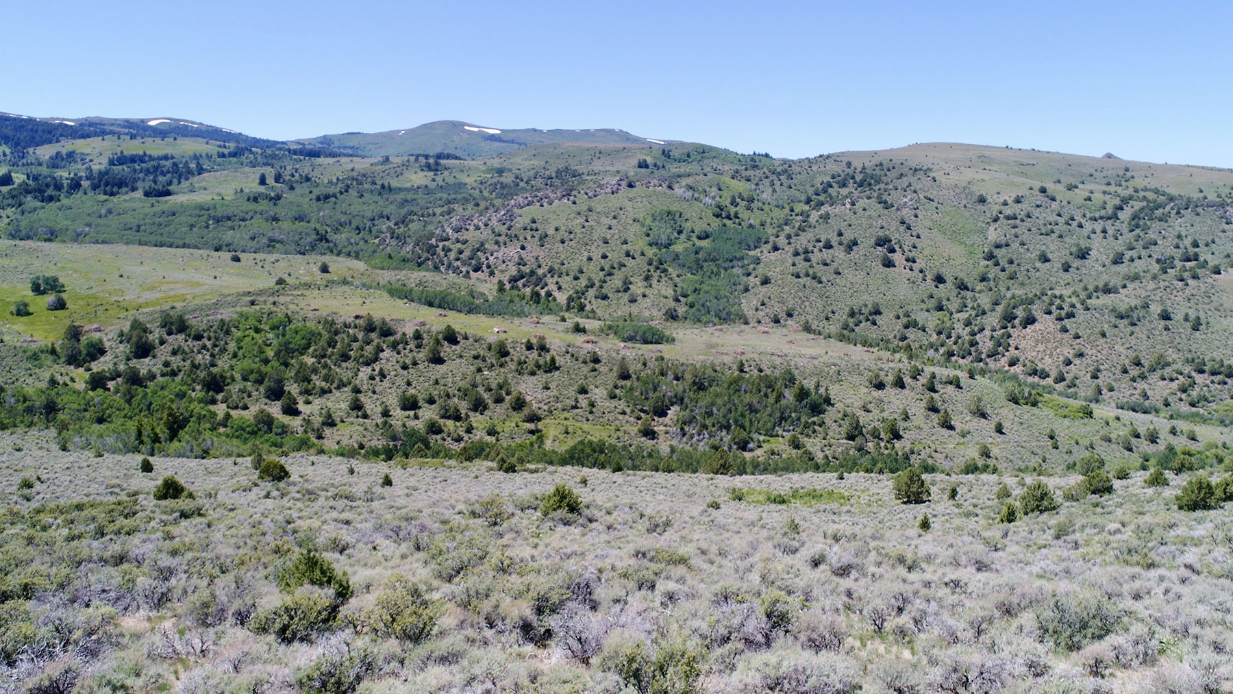 Reynolds Creek Land Company property picture 32 of 52
