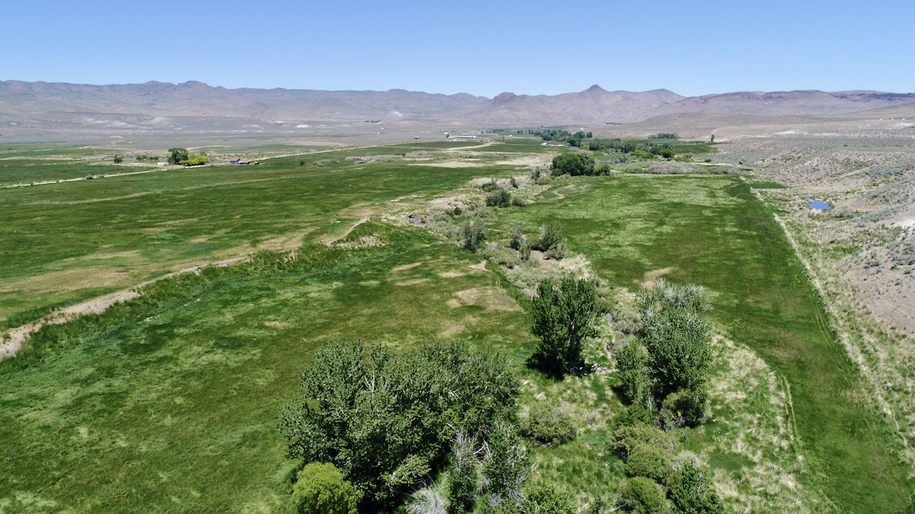 Reynolds Creek Land Company property picture 14 of 52