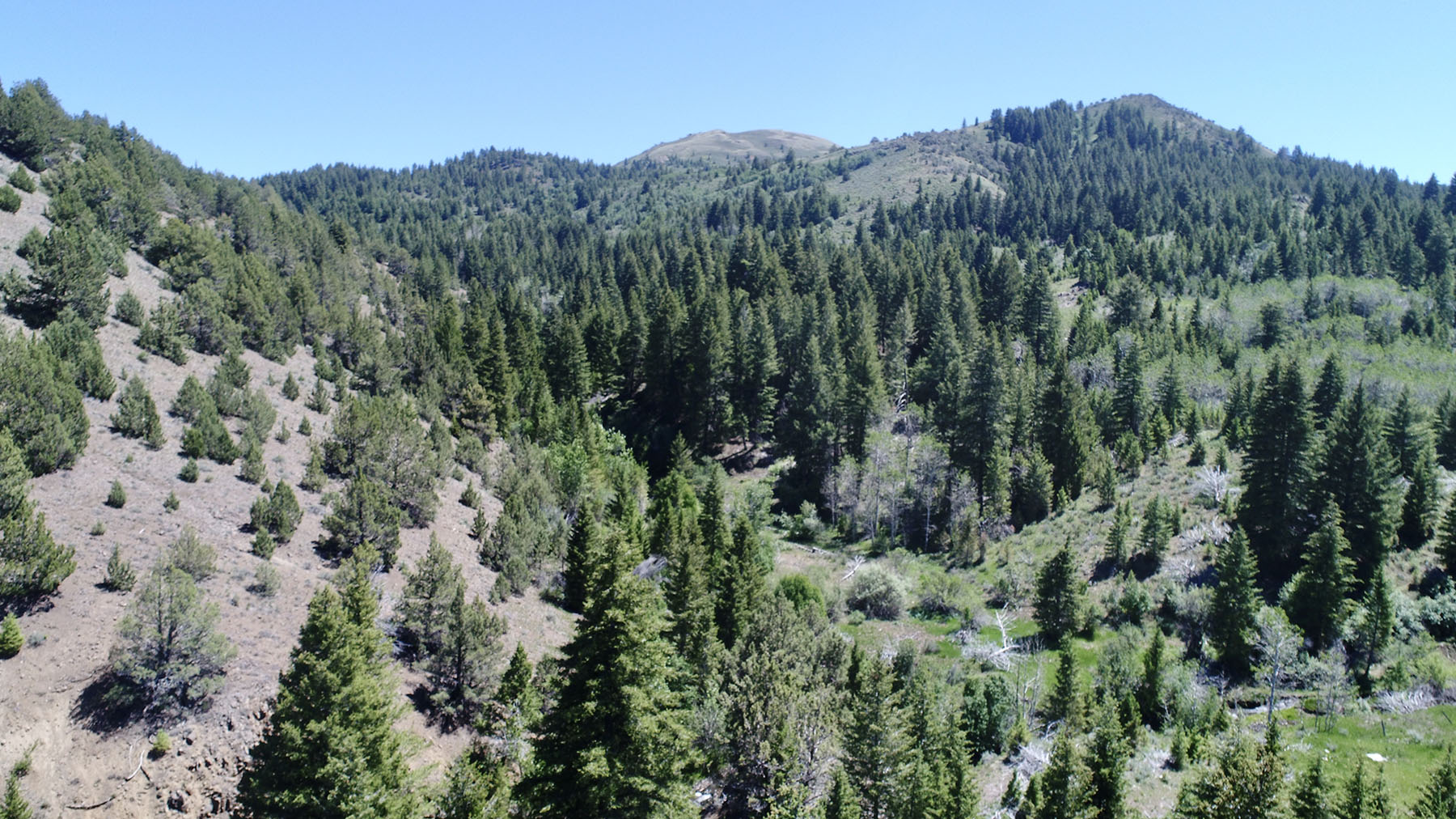 Reynolds Creek Land Company property picture 42 of 52