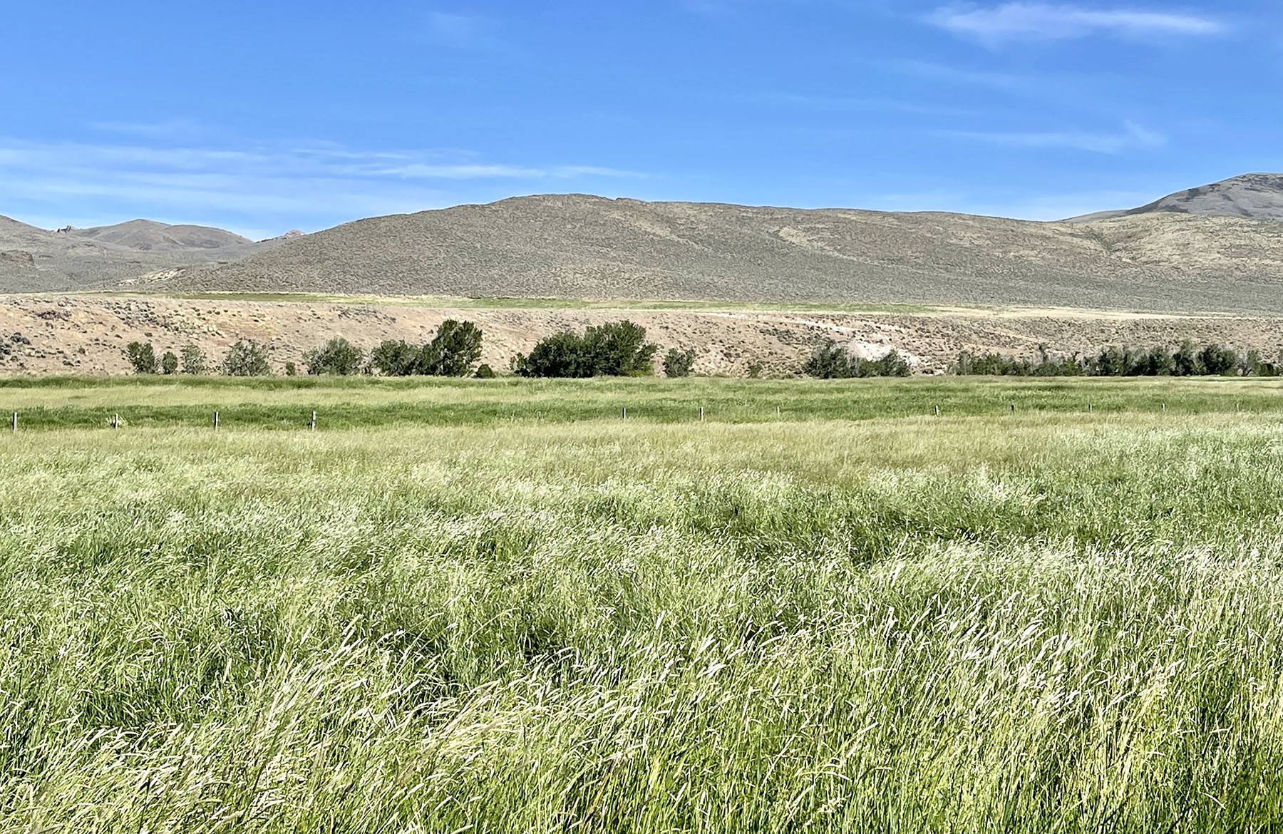 Reynolds Creek Land Company property picture 52 of 52