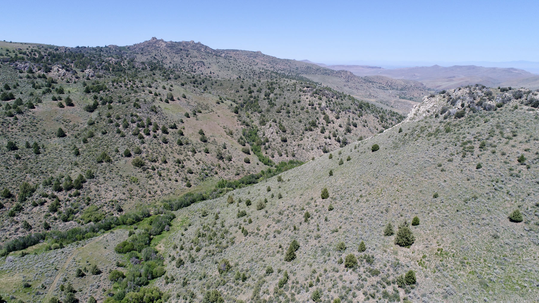 Reynolds Creek Land Company property picture 33 of 52
