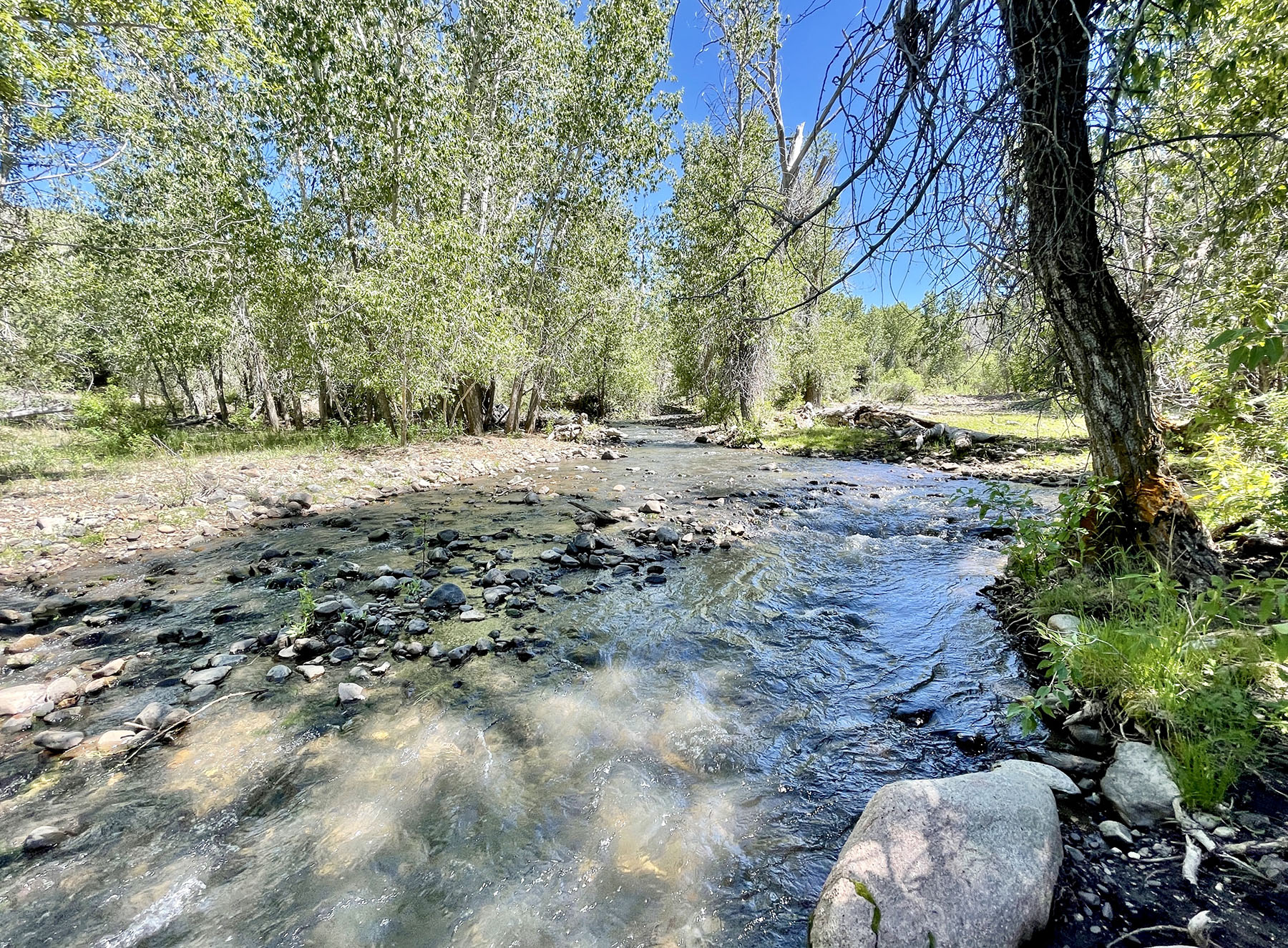 Reynolds Creek Land Company property picture 43 of 52