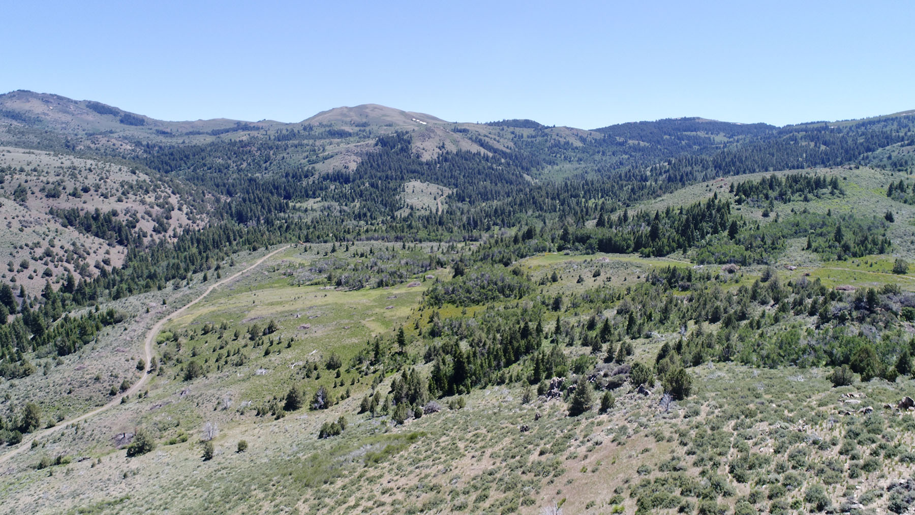 Reynolds Creek Land Company property picture 36 of 52