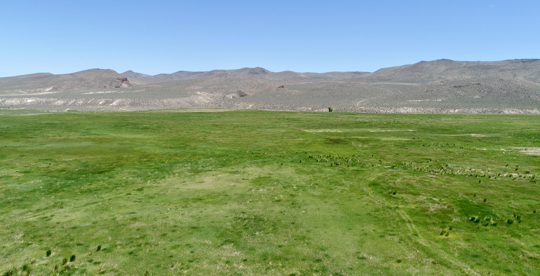 Reynolds Creek Land Company property picture 15 of 52