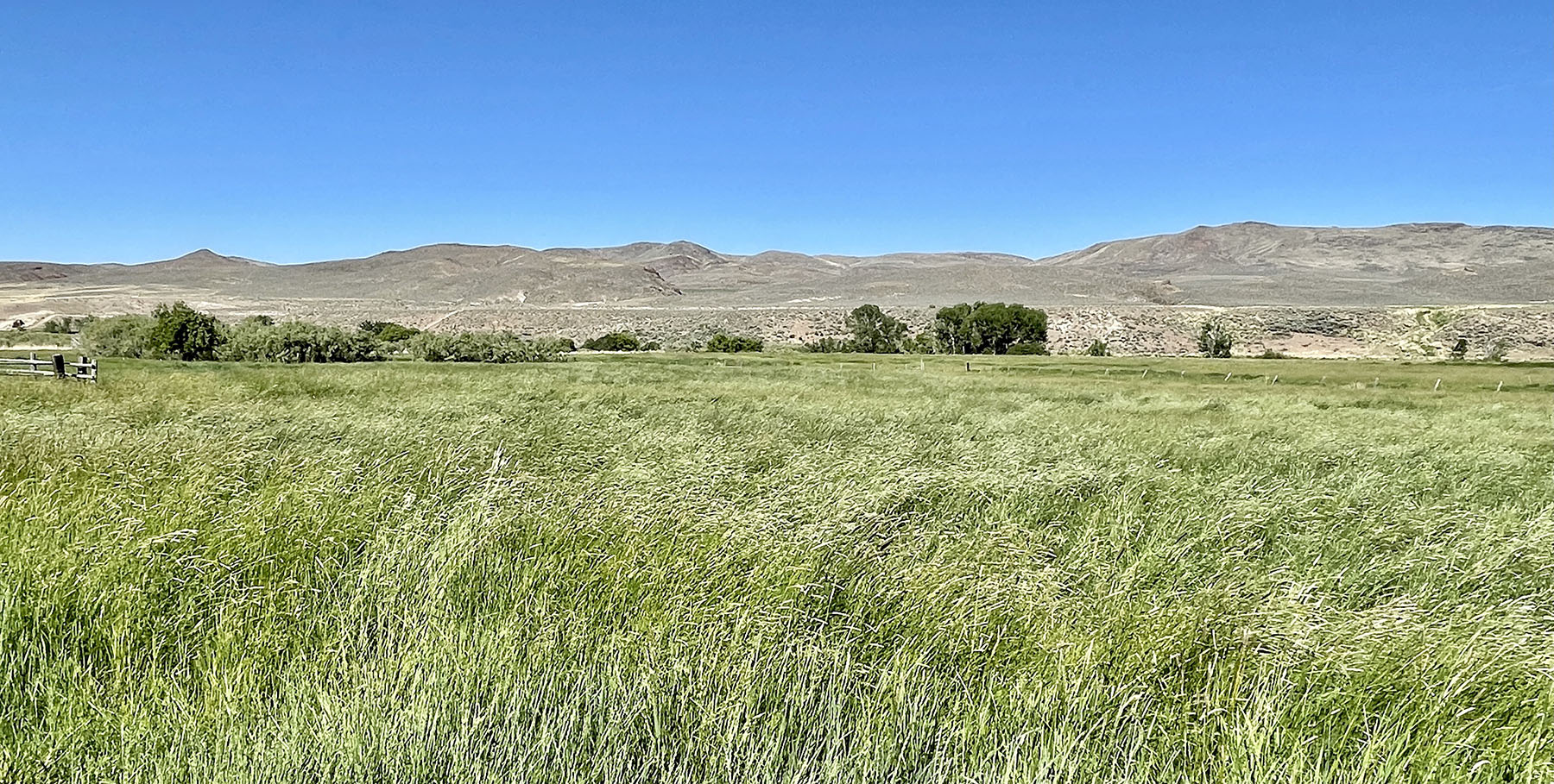 Reynolds Creek Land Company property picture 49 of 52