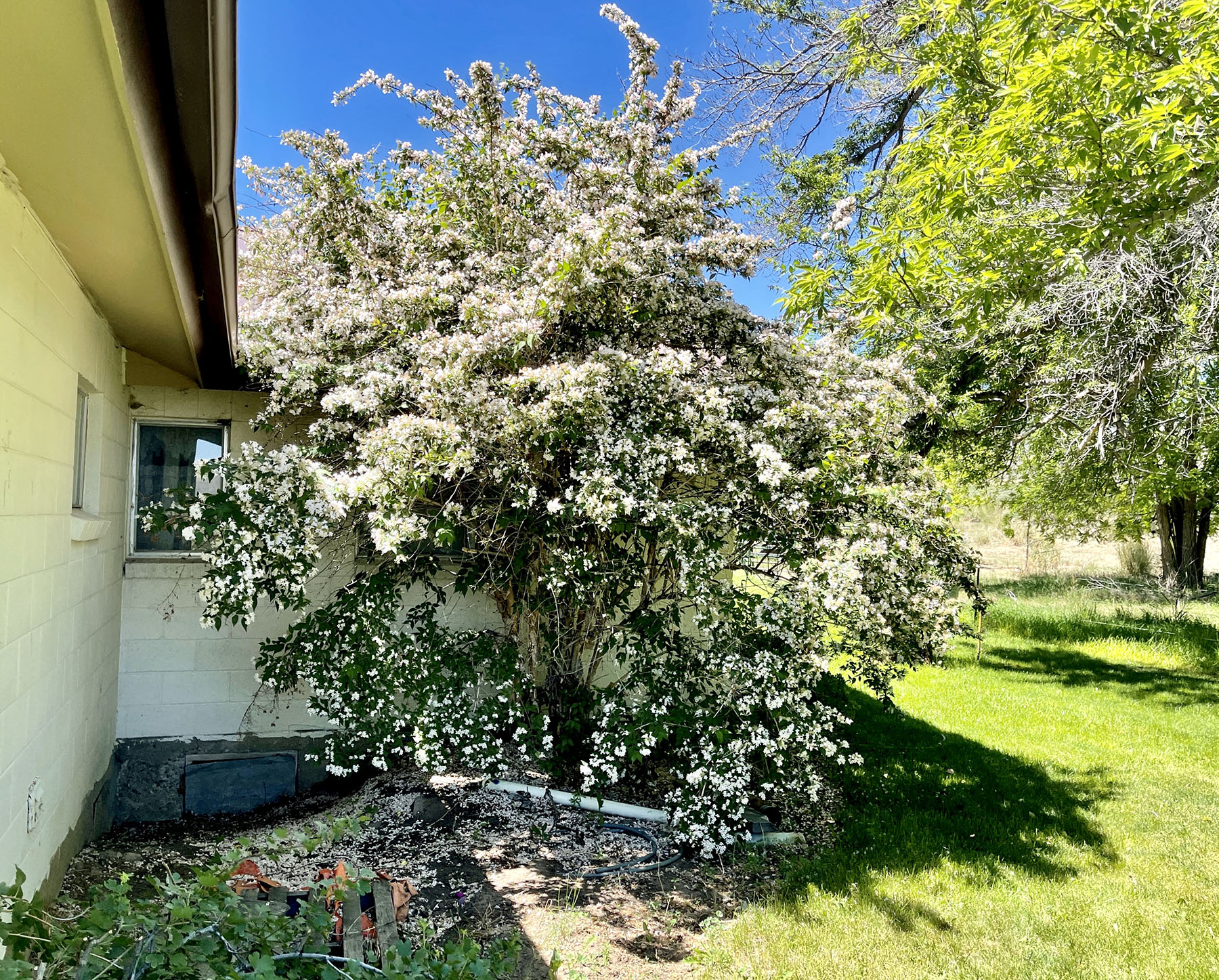 Reynolds Creek Land Company property picture 24 of 52