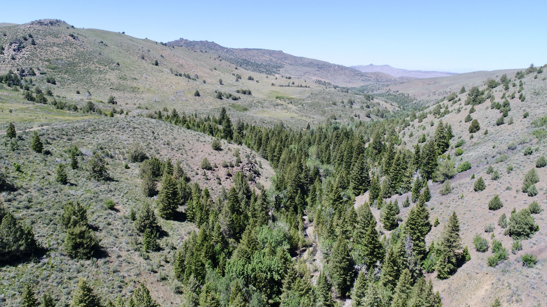 Reynolds Creek Land Company property picture 41 of 52