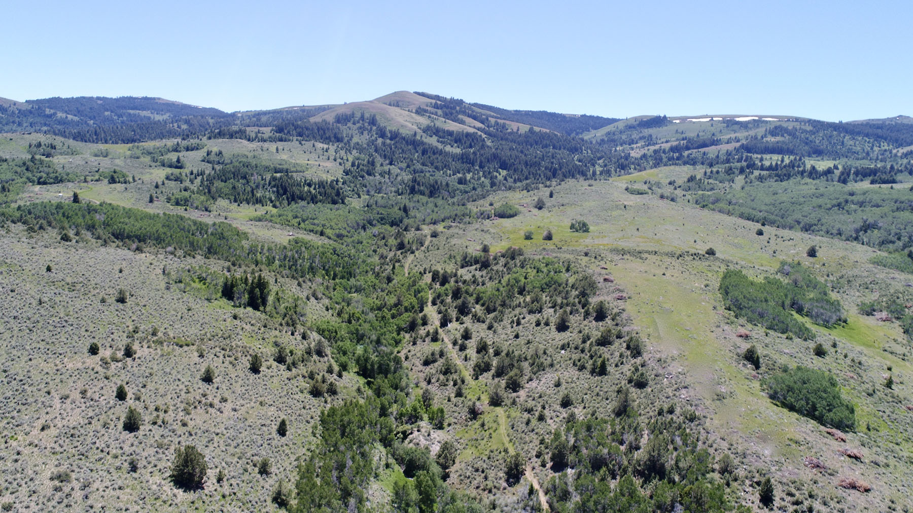 Reynolds Creek Land Company property picture 34 of 52