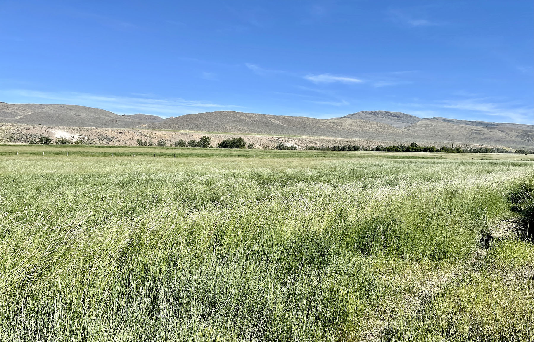 Reynolds Creek Land Company property picture 50 of 52