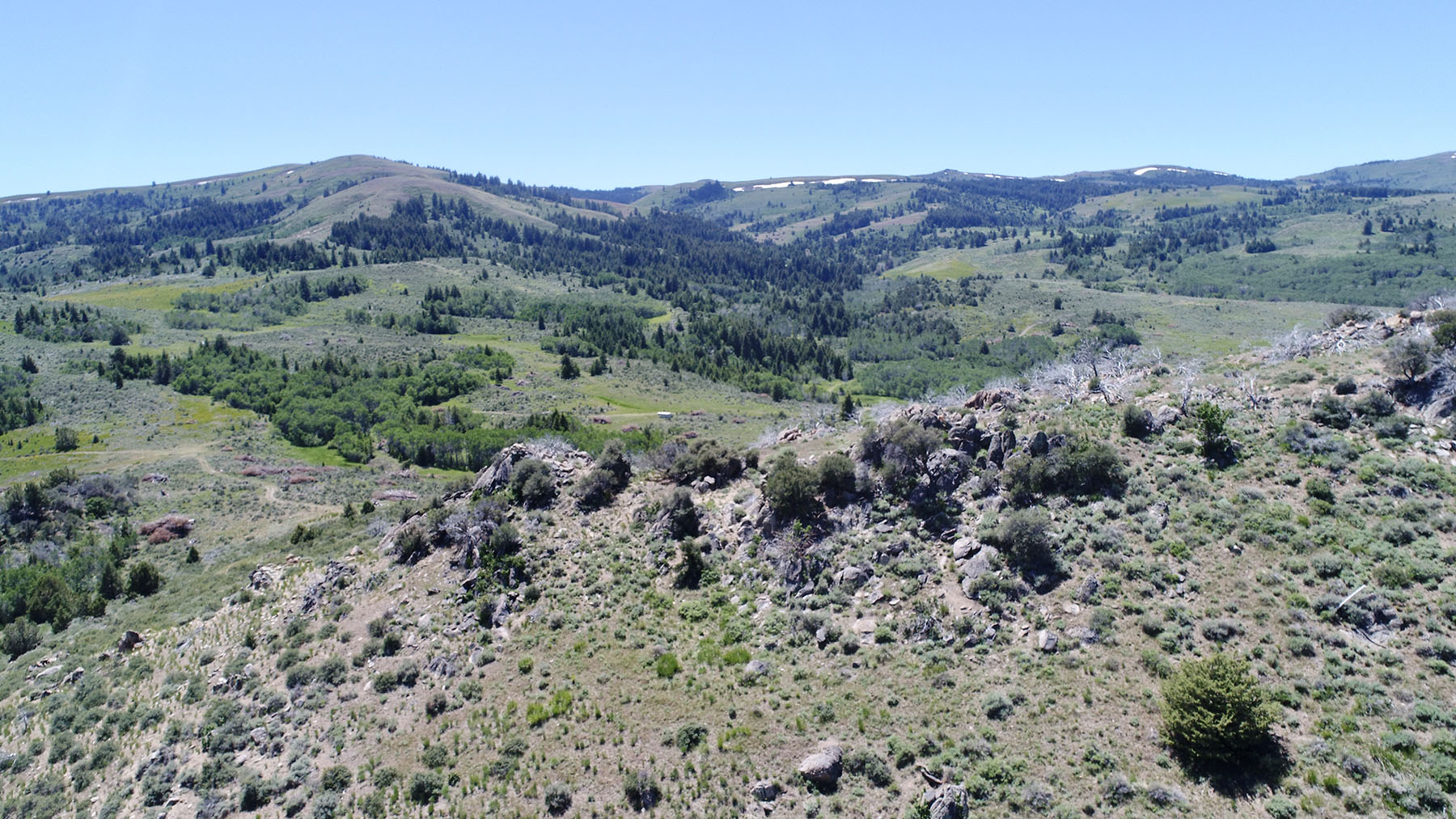 Reynolds Creek Land Company property picture 37 of 52