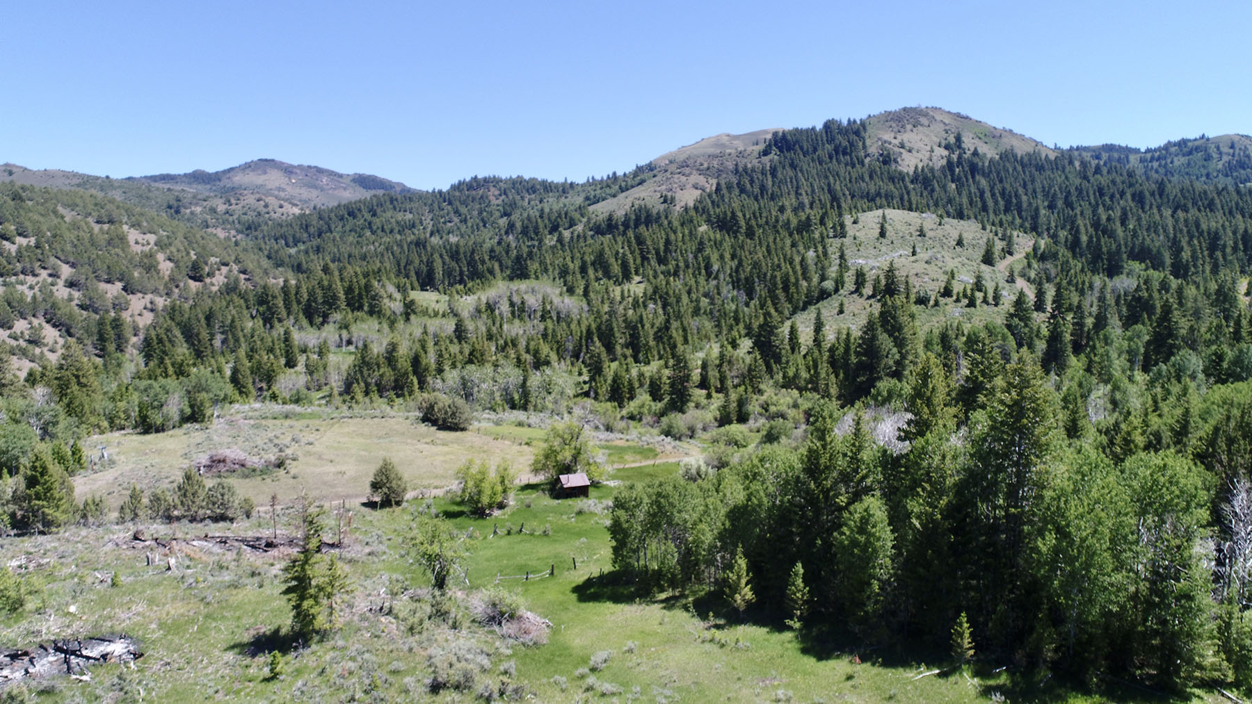 Reynolds Creek Land Company property picture 39 of 52