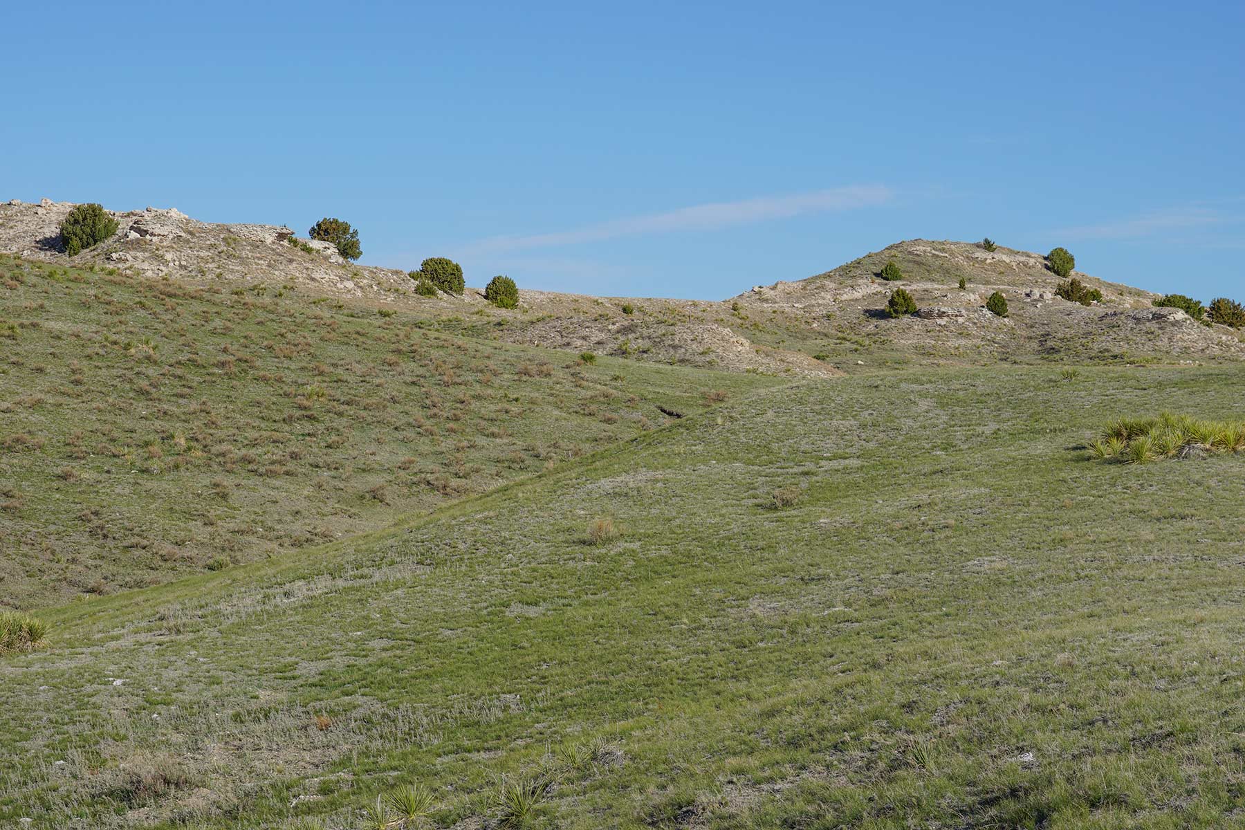 Mud Springs Ranch Hall and Hall
