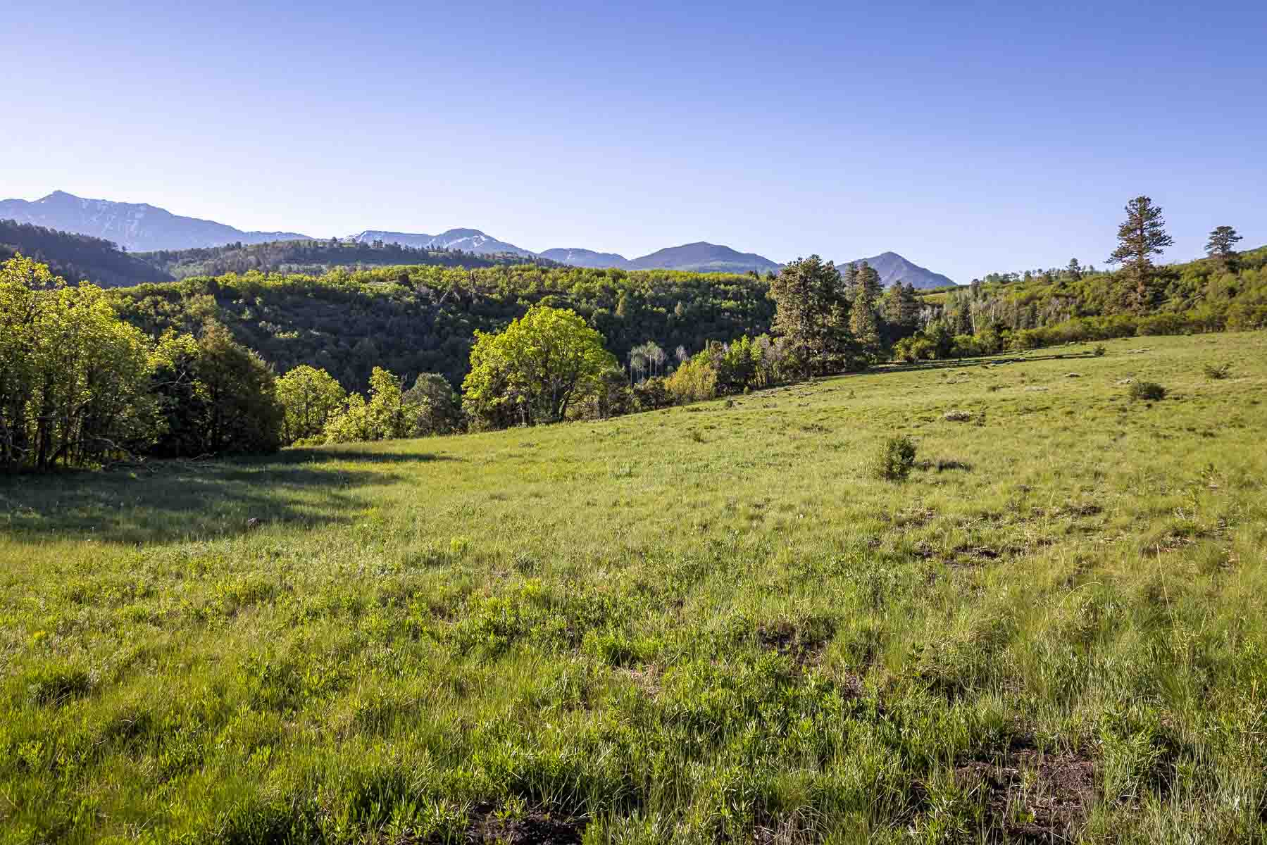 Telluride Renegade Ranch property picture 54 of 63