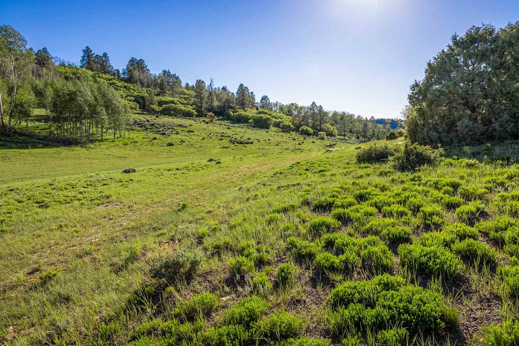 Telluride Renegade Ranch property picture 33 of 63