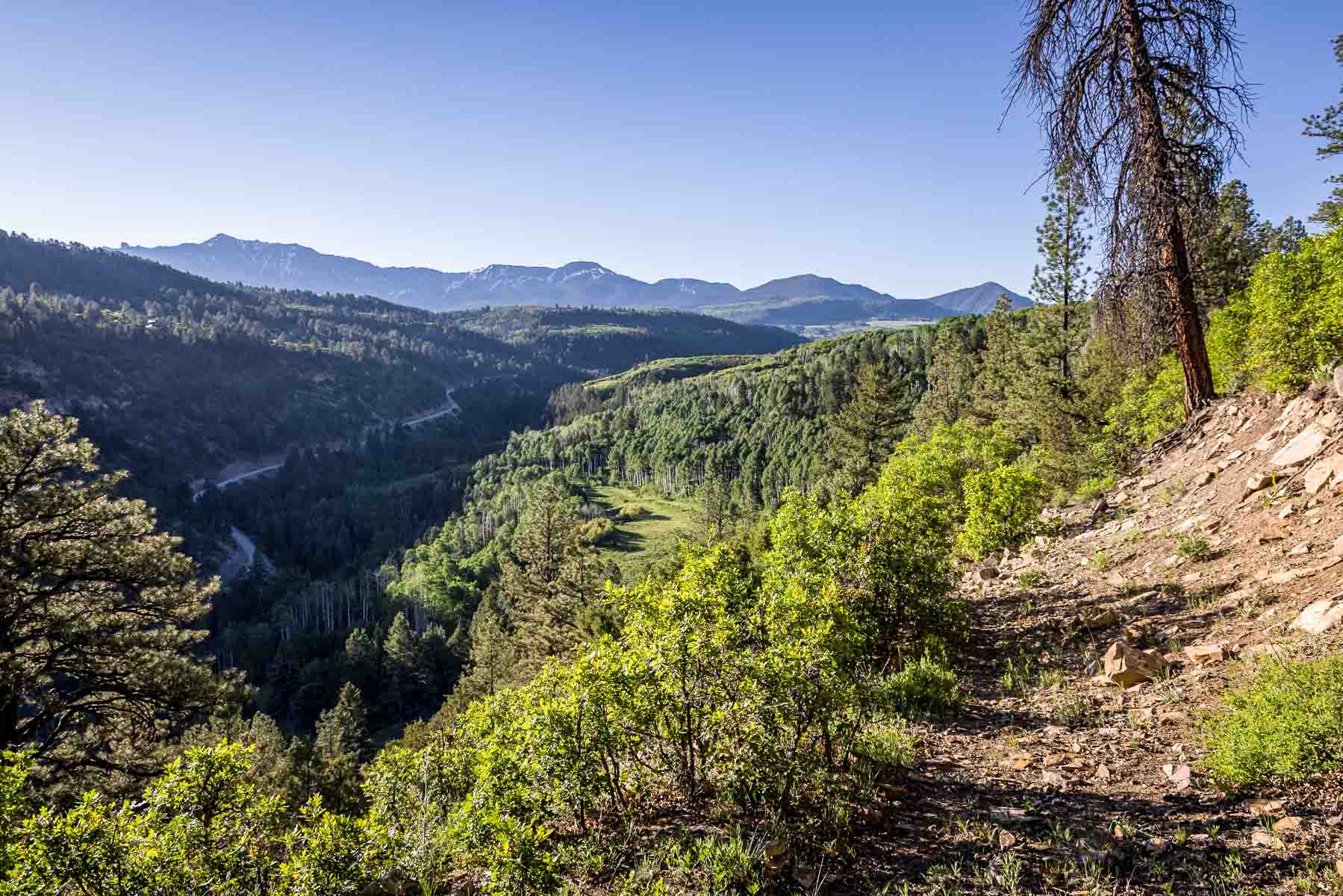 Telluride Renegade Ranch property picture 11 of 63