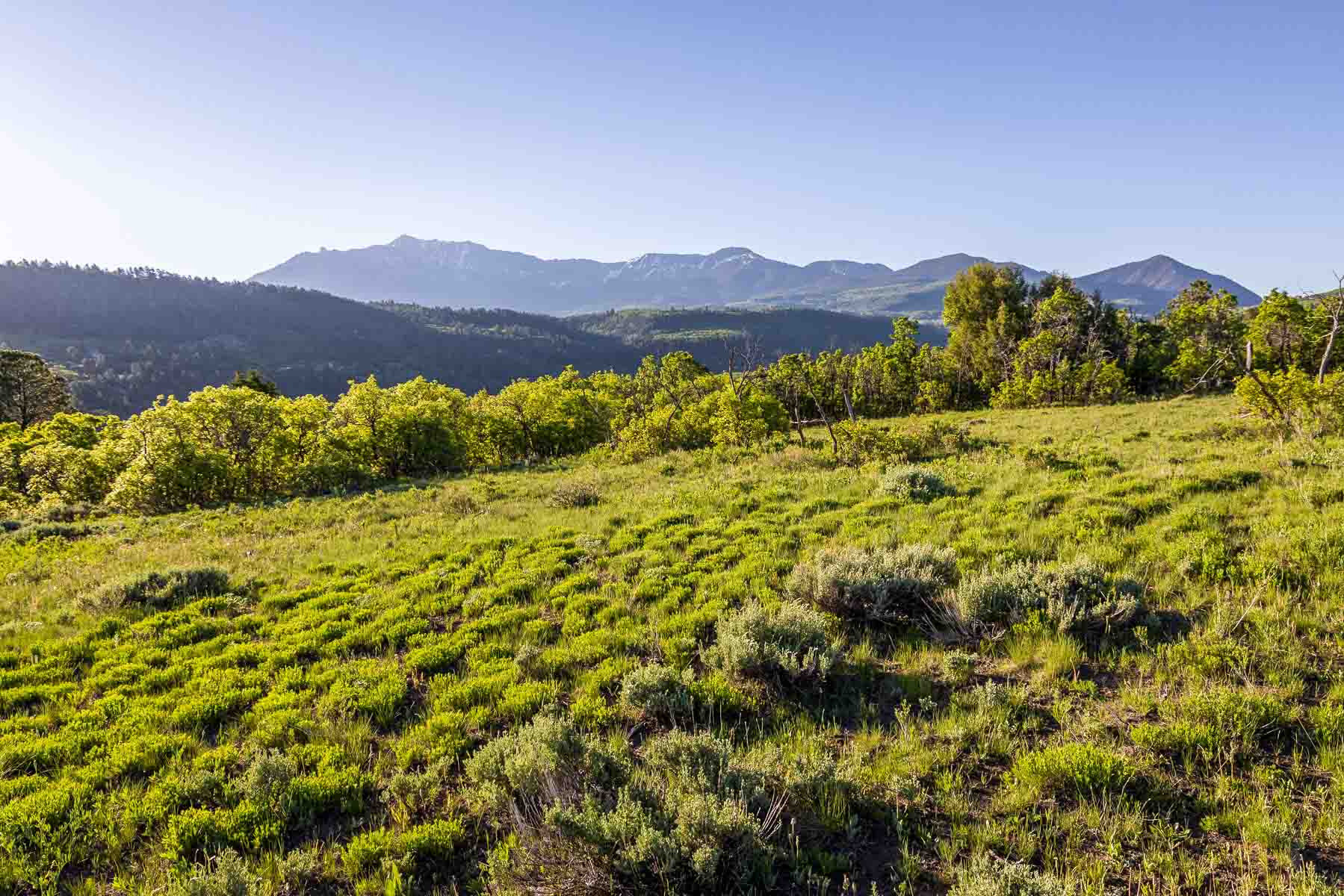 Telluride Renegade Ranch property picture 48 of 63