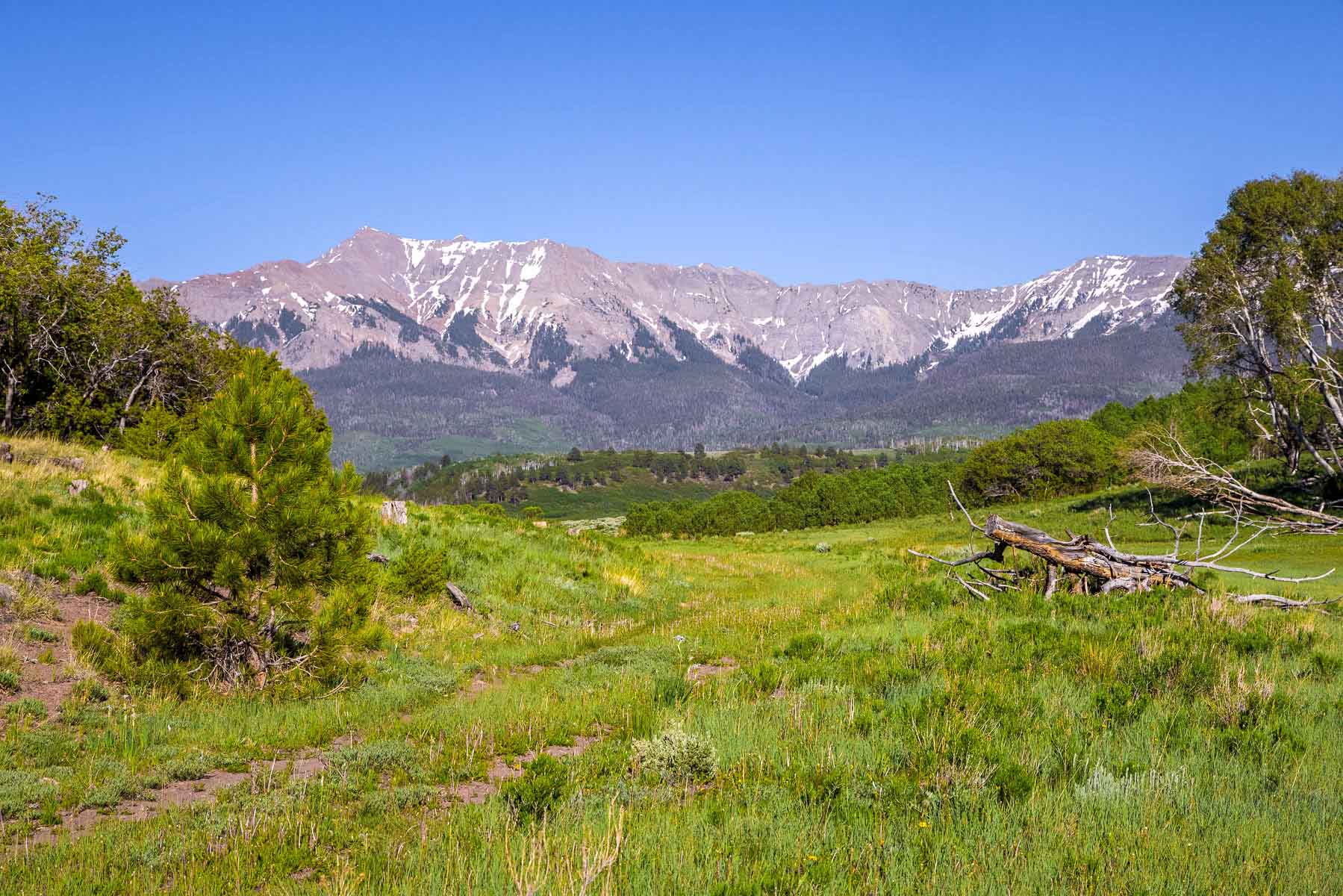 Telluride Renegade Ranch property picture 4 of 63