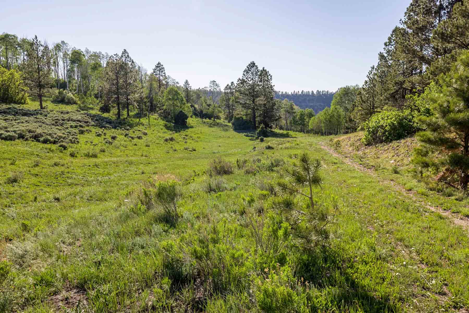 Telluride Renegade Ranch property picture 32 of 63